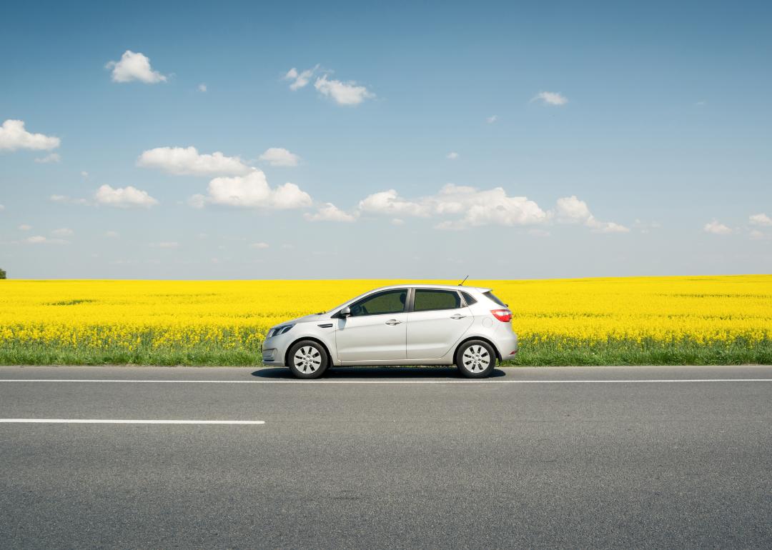 A silver Kia Rio on the road in front of a field of yellow flowers.
