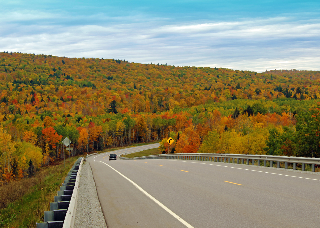 A truck on the highway surrounded by fall foliage.