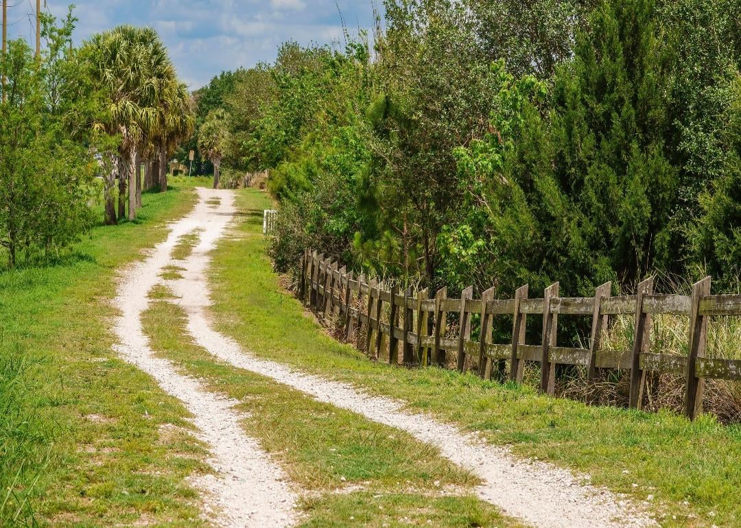 A trail and nature area surrounded by greenery and palm trees.