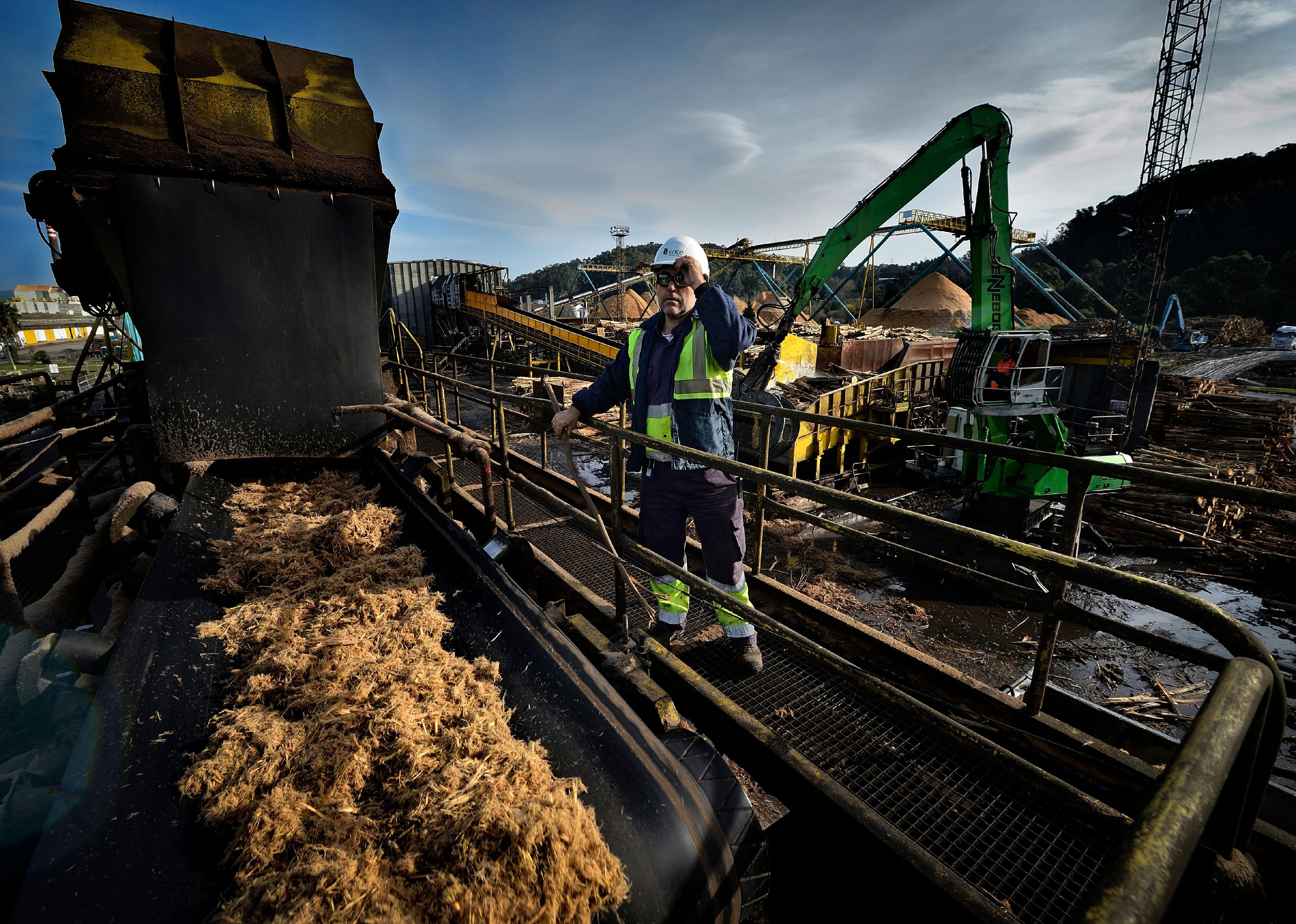 A worker checks the biomass line at a plant in Spain.