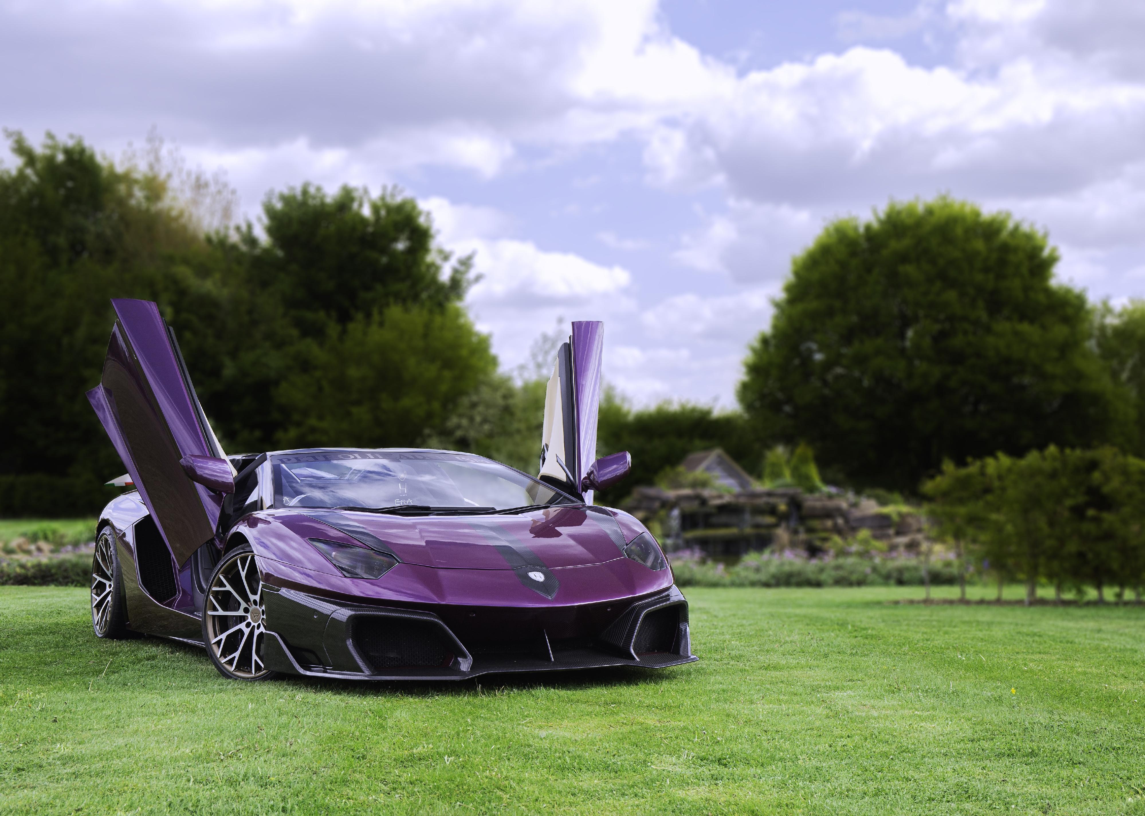 A purple Lamborghini Aventador on the grass with the doors opened upward.