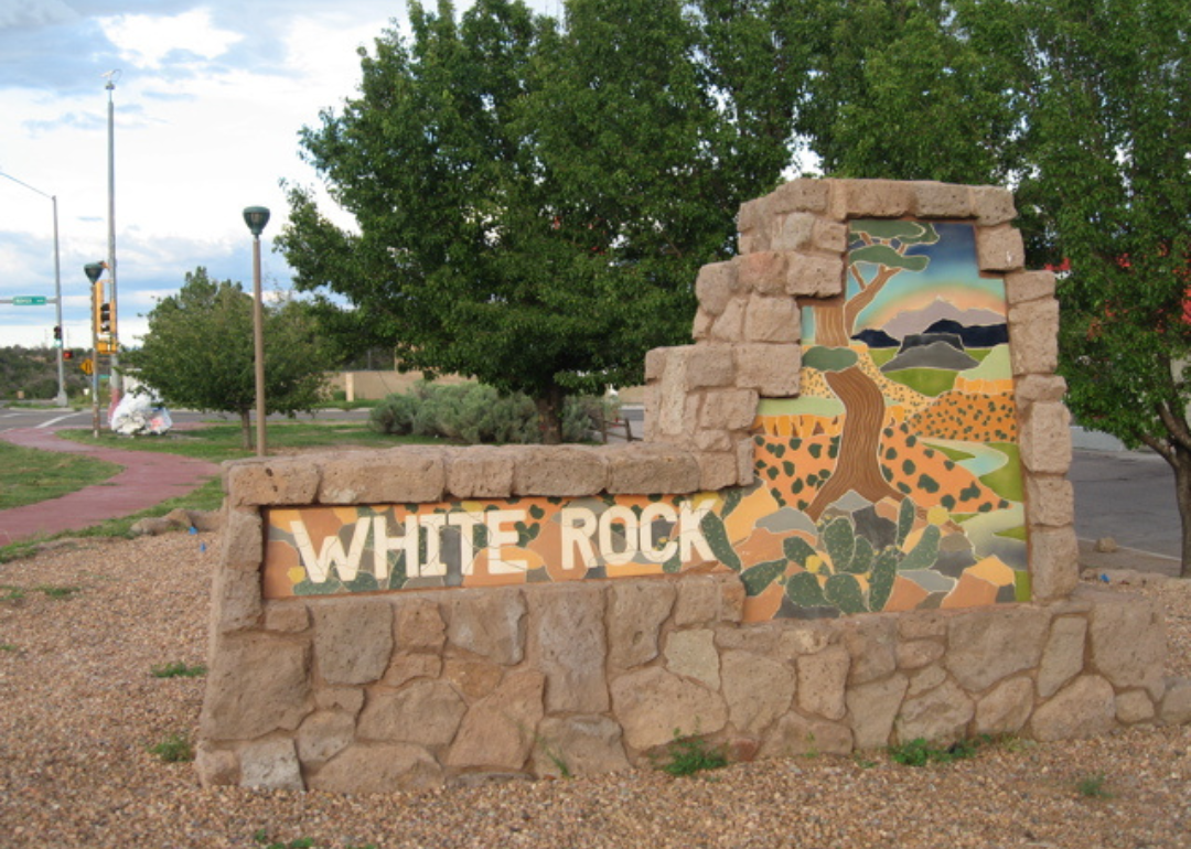 A stone sign at the entrance of White Rock with a painting of a tree.