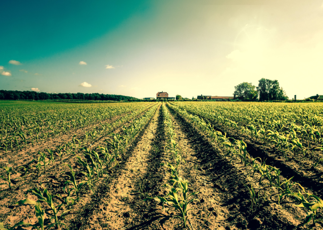 A farm field leading up to a house.