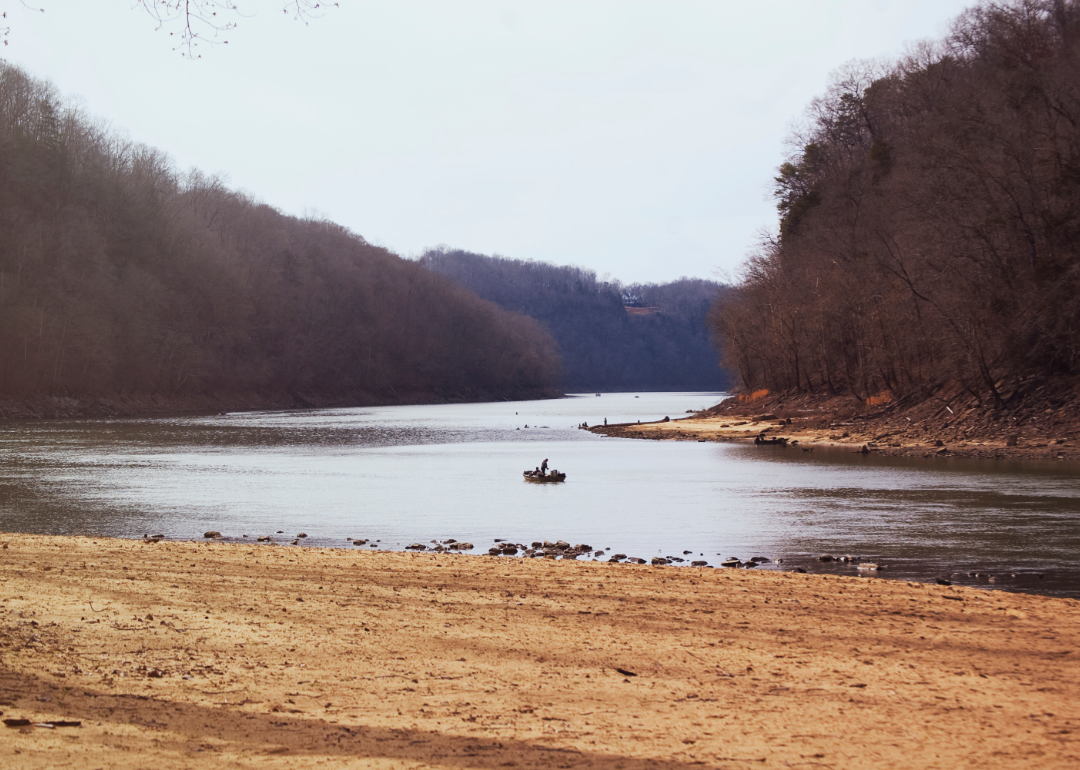 A person on a small boat on a lake surrounded by trees in the distance. 