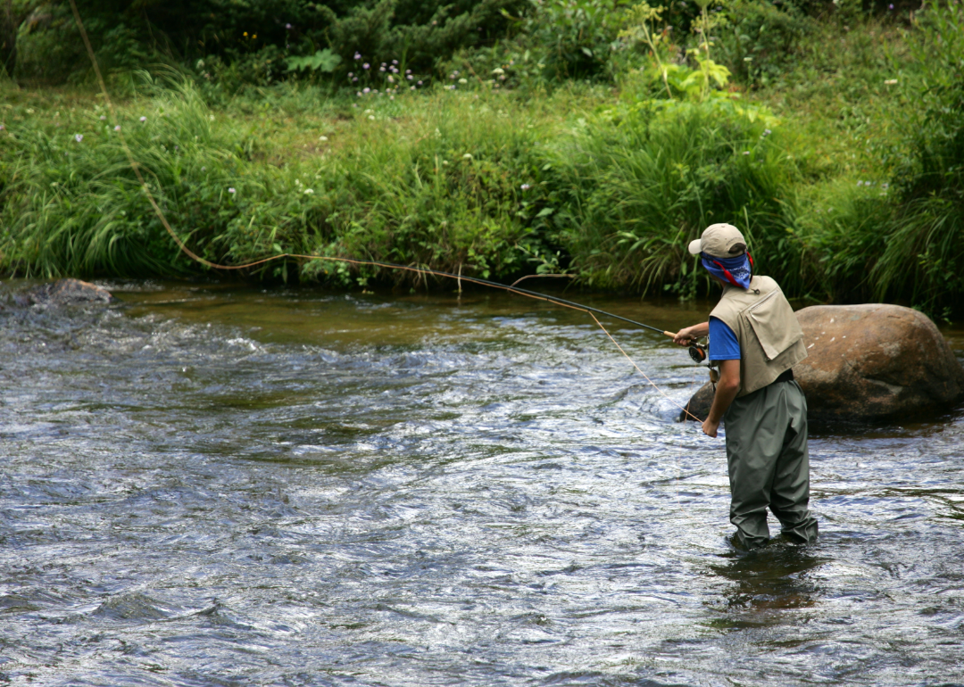 An angler casts a fishing pole into a shallow creek. 