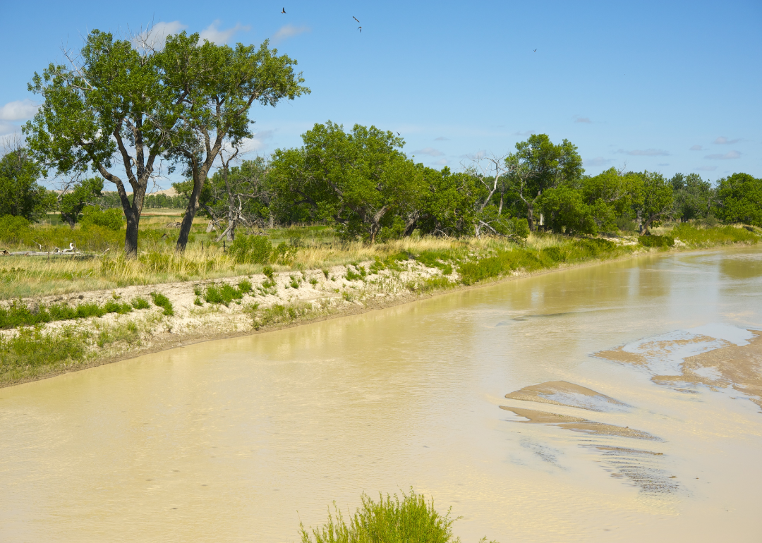 A muddy river surrounded by sand and trees. 