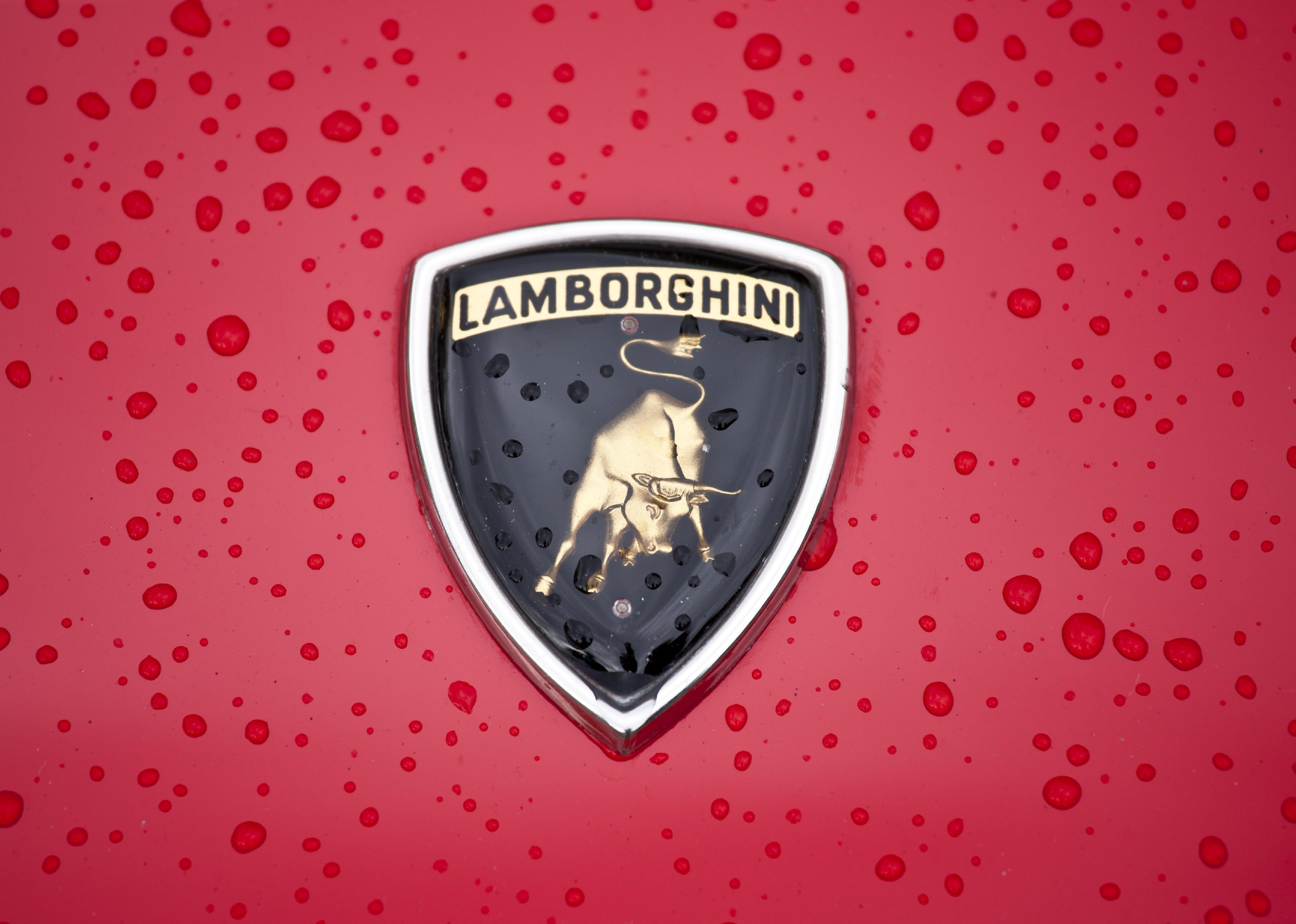 Badge Logo of Lamborghini Countach 5000.