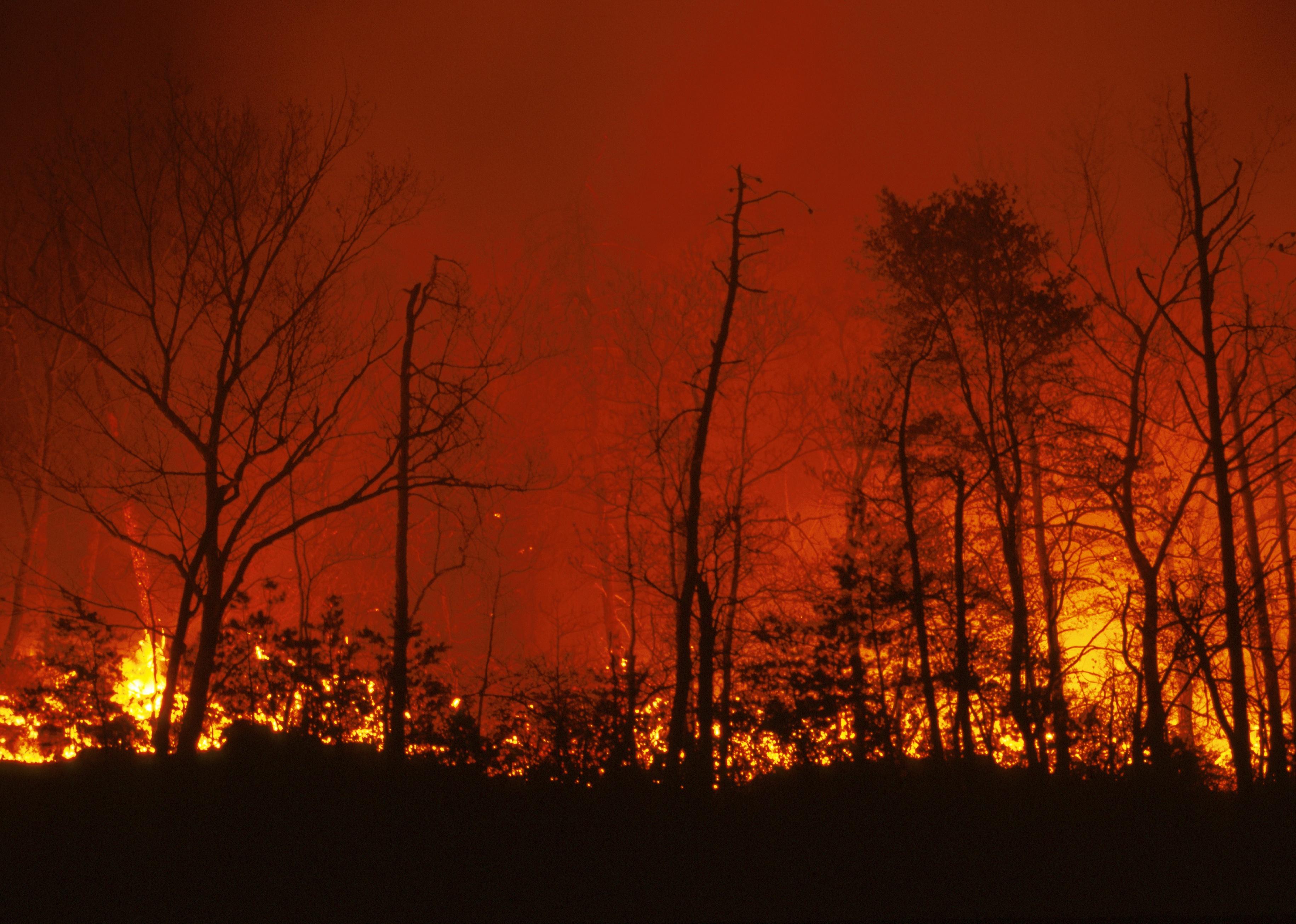 Forest fire burns in the hillside of Virginia's Rockbridge County.