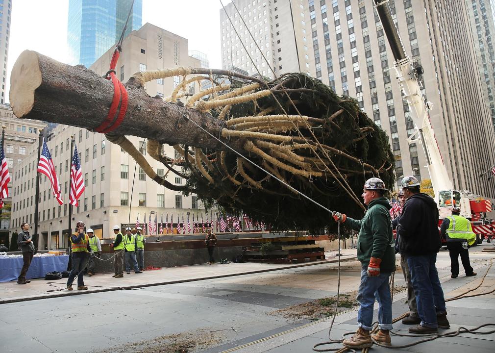 Men in hard hats prepare to raise the 100 foot Christmas Tree in Rockefeller Center.