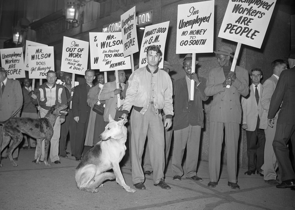 Protesters with dogs and signs about unemployment