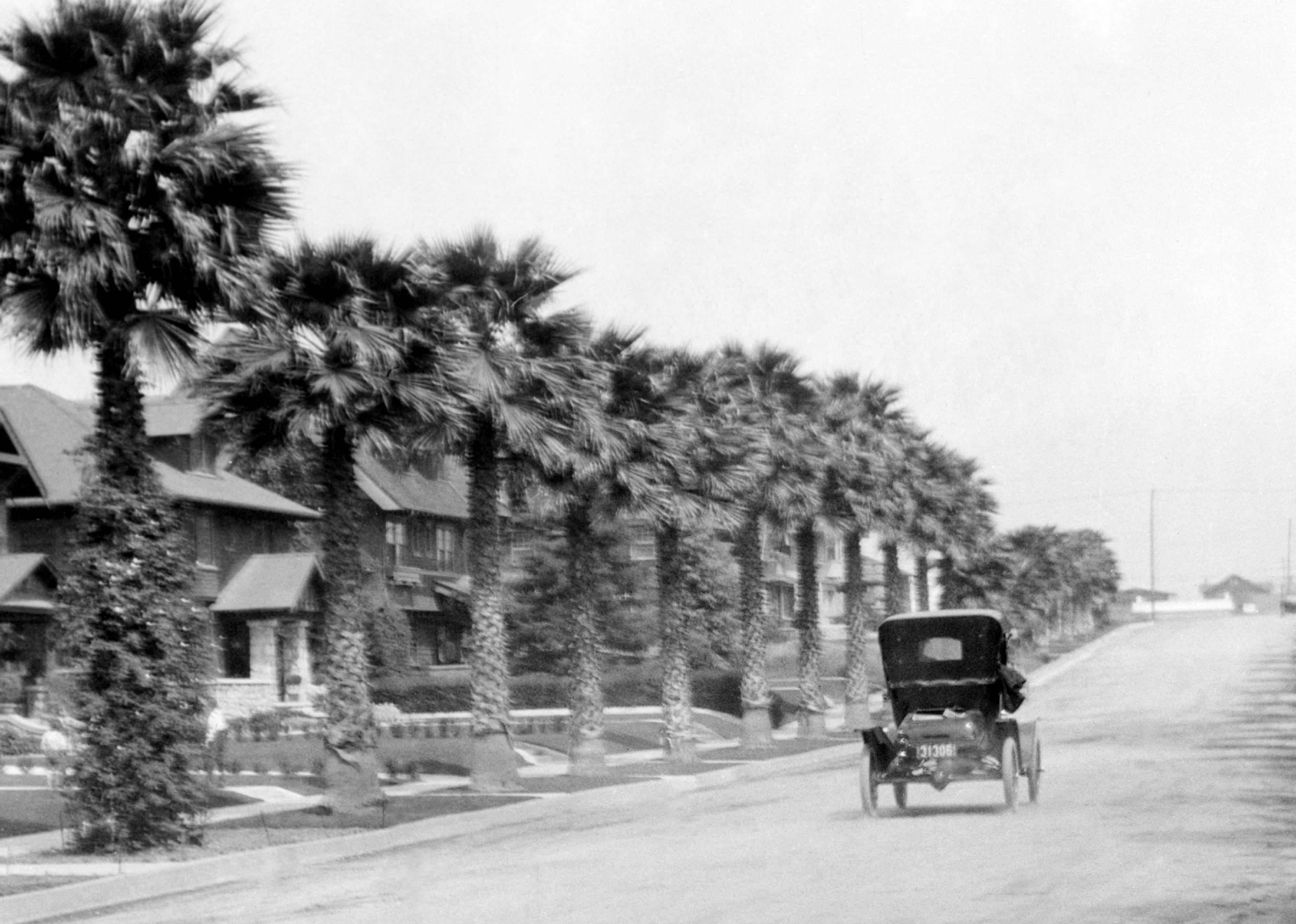 Early automobile on a street lined with palm trees and houses, circa 1910.