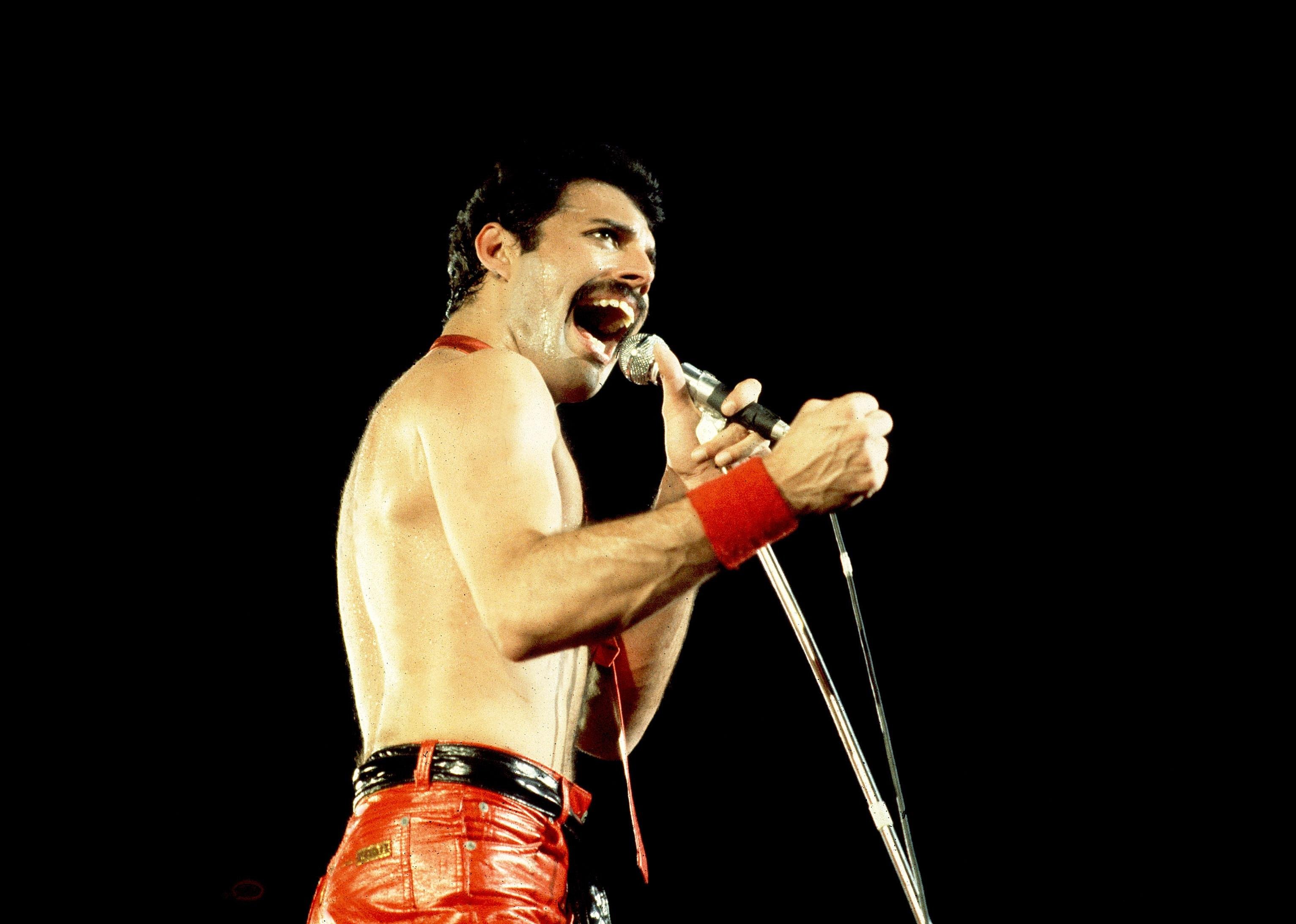 Freddie Mercury of Queen on 9/19/80 in Chicago, Il.