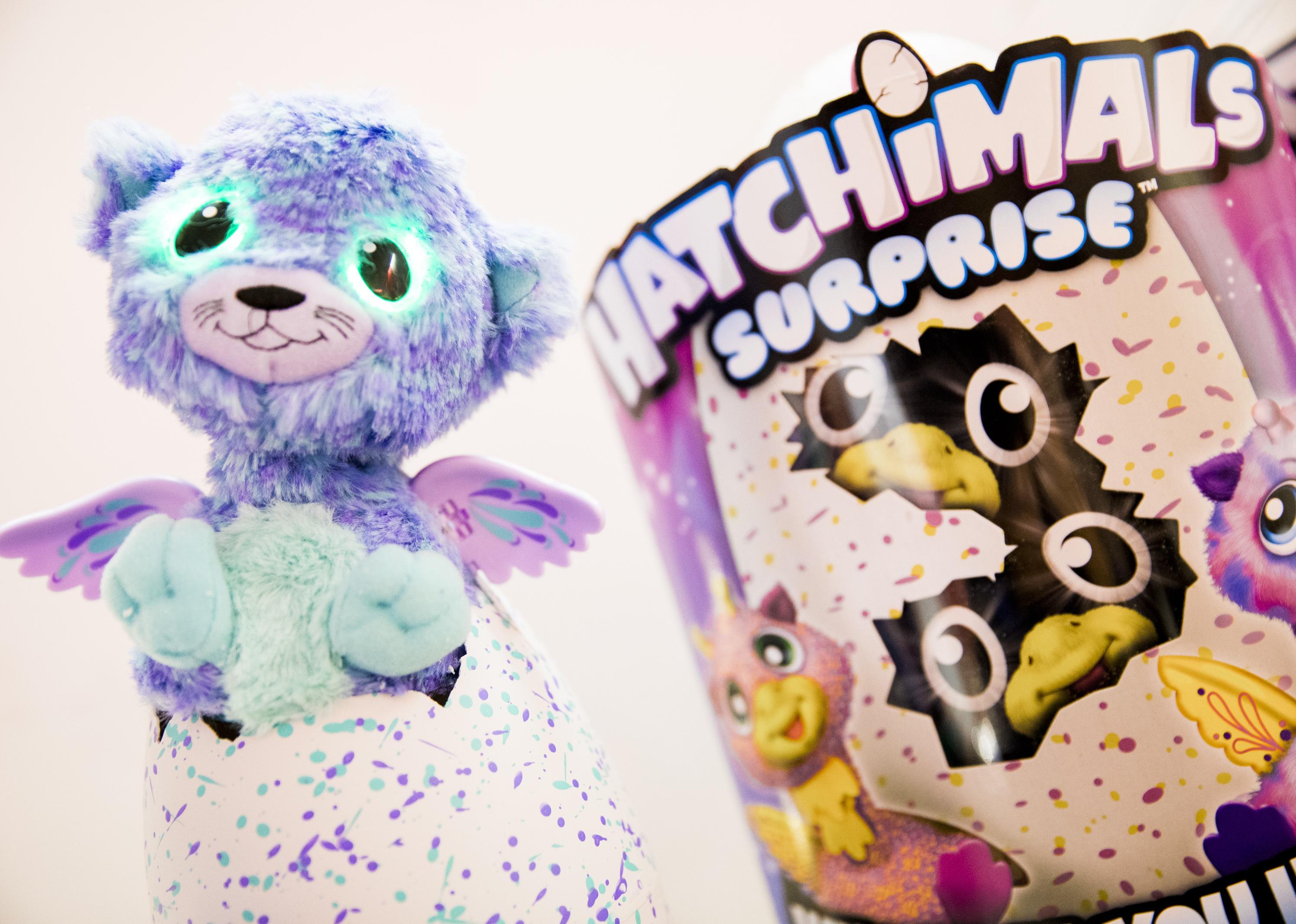 Close-up of Hatchimals Surprise on display.