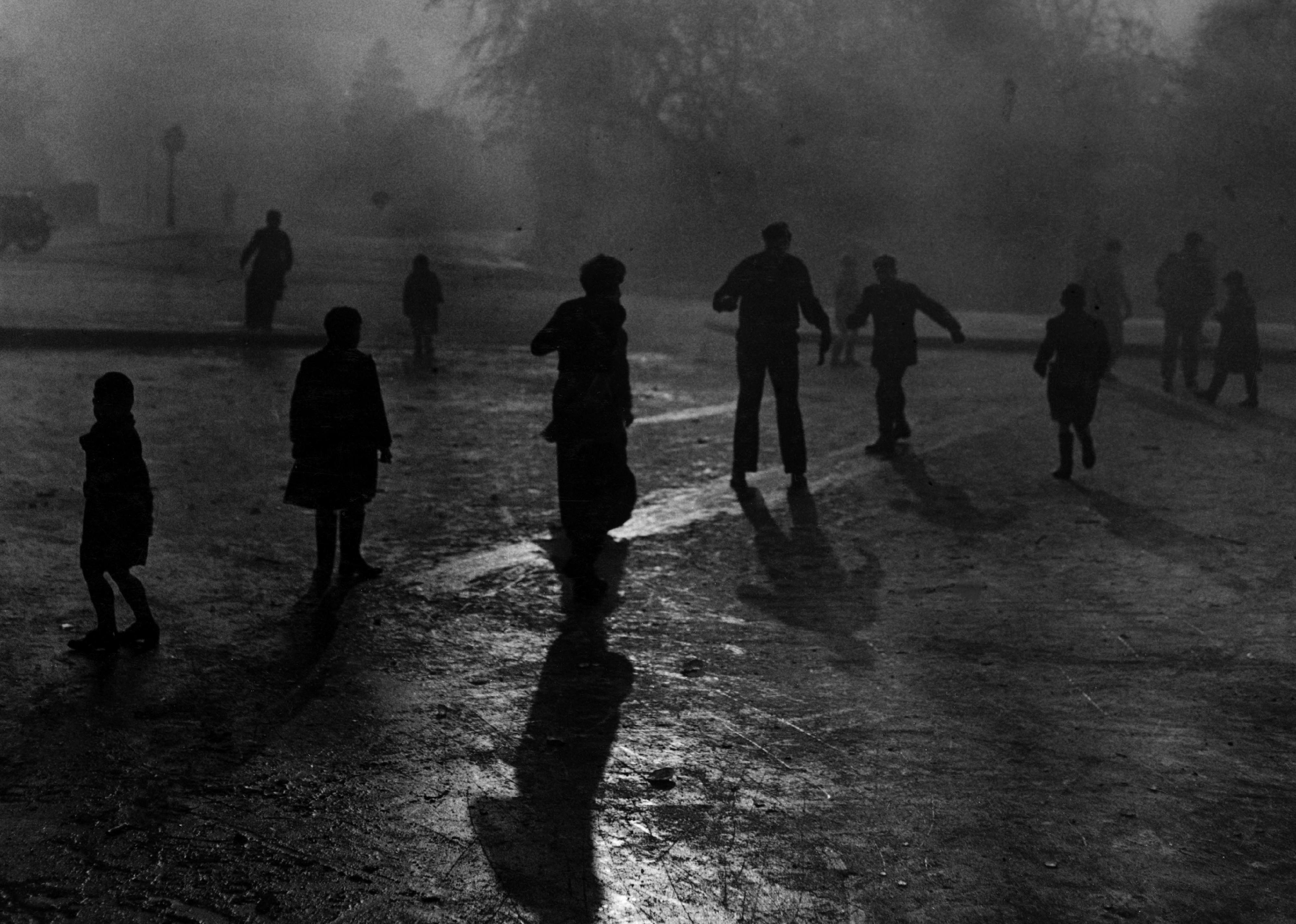 Fog and ice on Hampstead Heath.