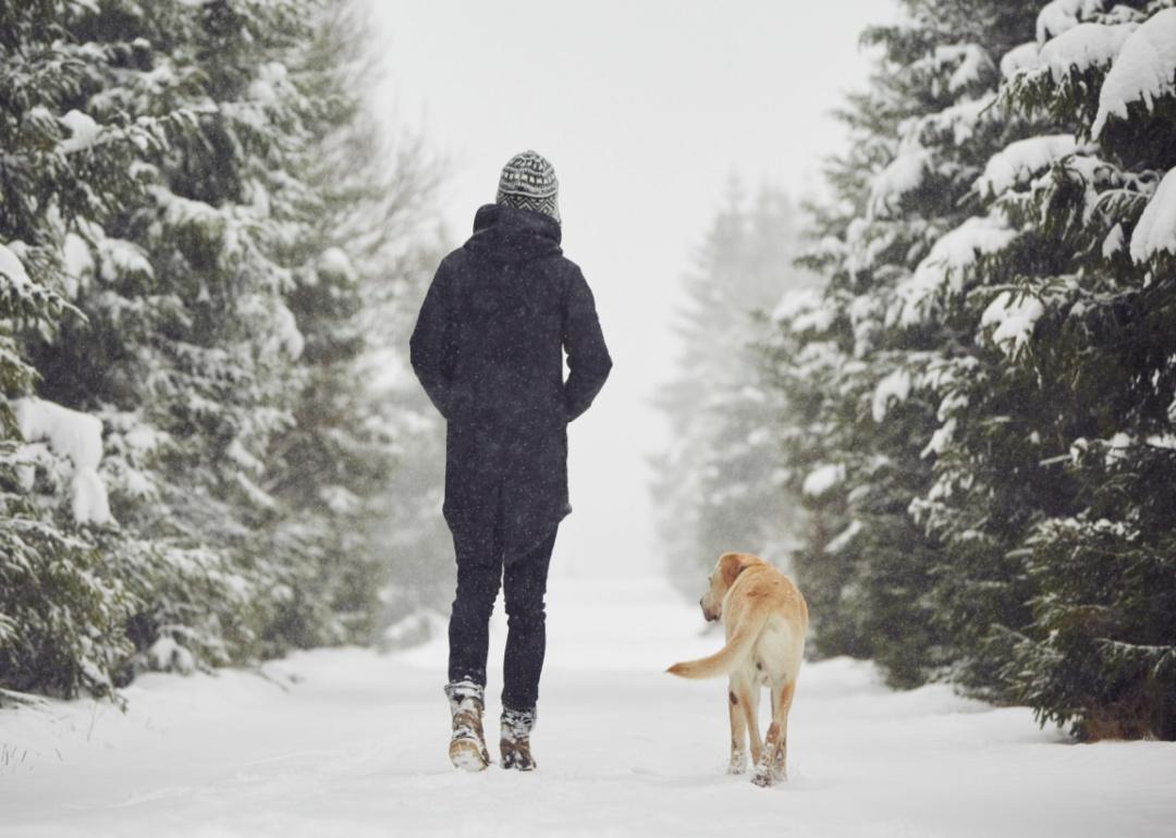 A man walking a yellow lab dog in the snow.