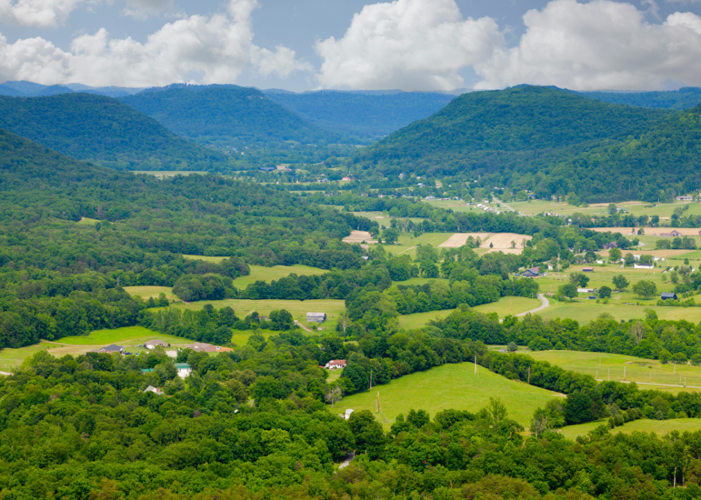 Aerial view of rural homes and green landscape in Kentucky.