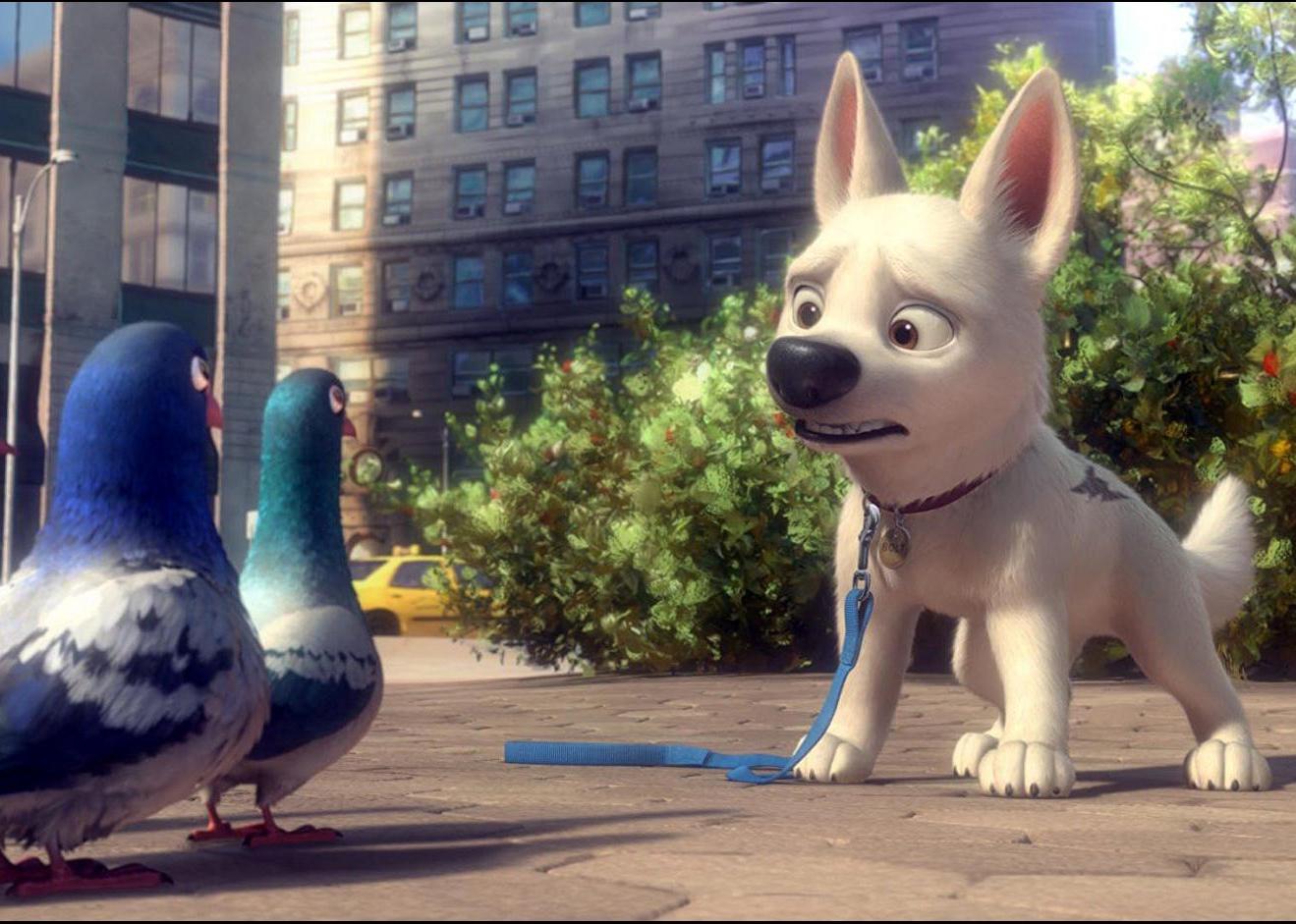 A cartoon of a white dog scared of a group of pigeons.