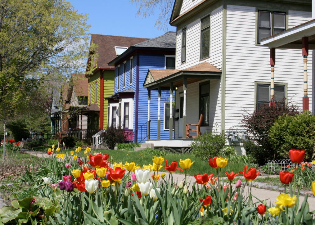 Tulips in front of colorful two story houses in Milwaukee, Wisconsin.