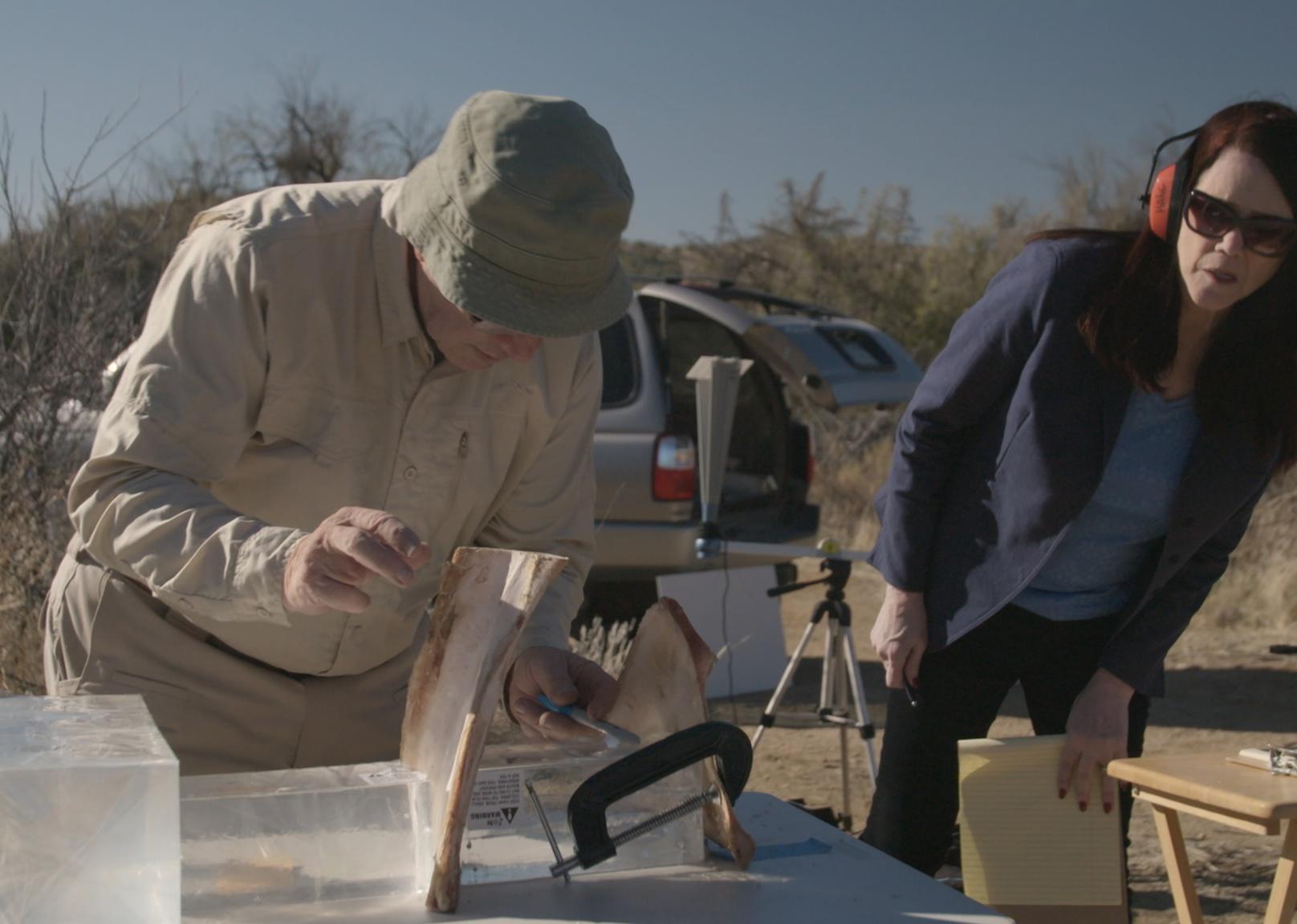 A man and woman out in the field doing tests for a murder trial.