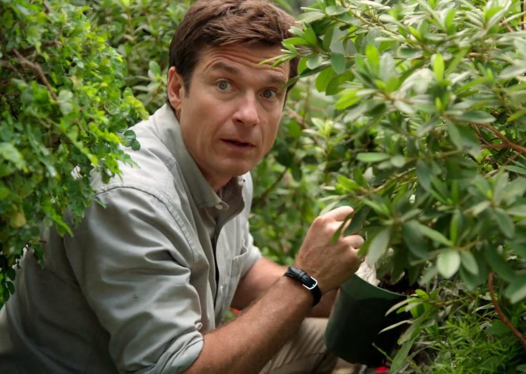 Jason Bateman in the bushes.