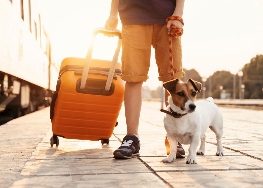 A person holding luggage next to a train with a small white dog on a leash.