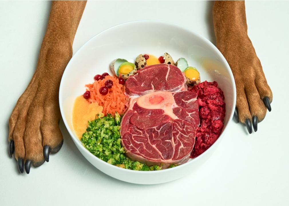 Dog paws on either side of a bowl of raw meat and cooked veggies.