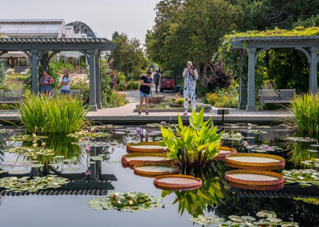 A person taking images of a botanical garden.