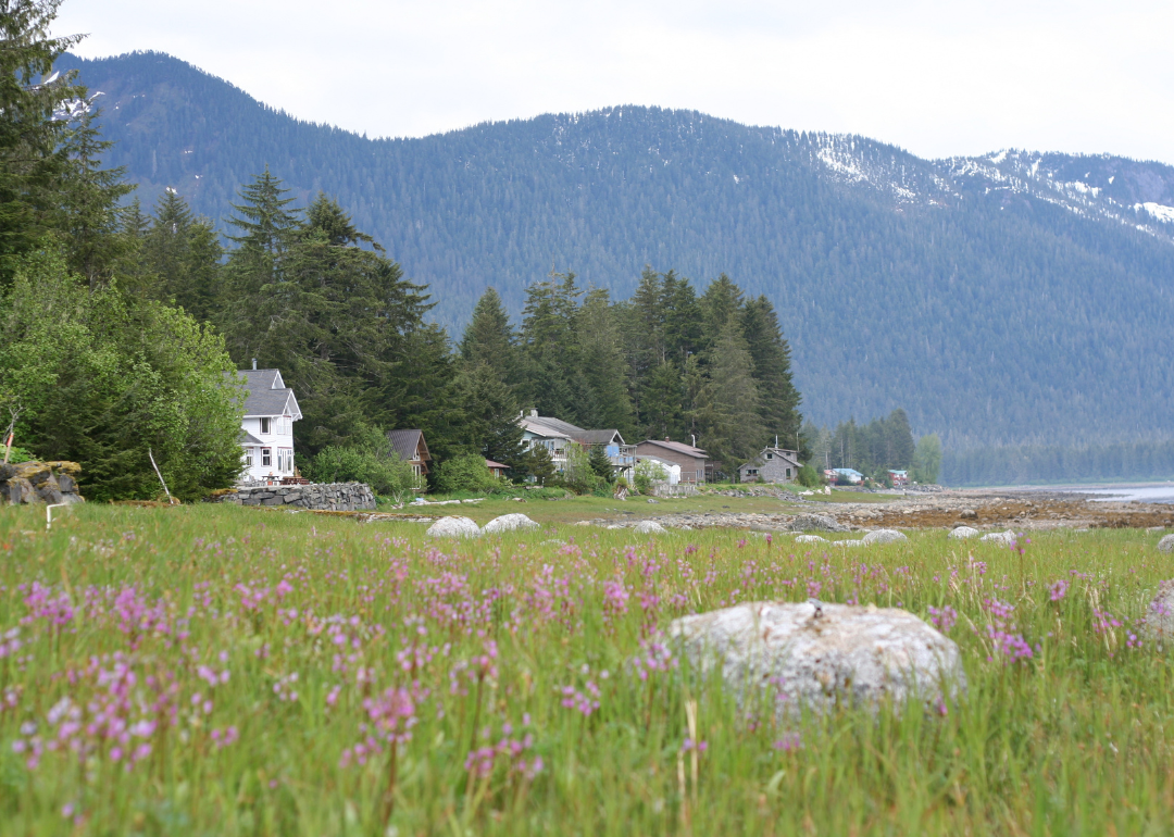 A field of flowers and homes on the water with mountains in the background.