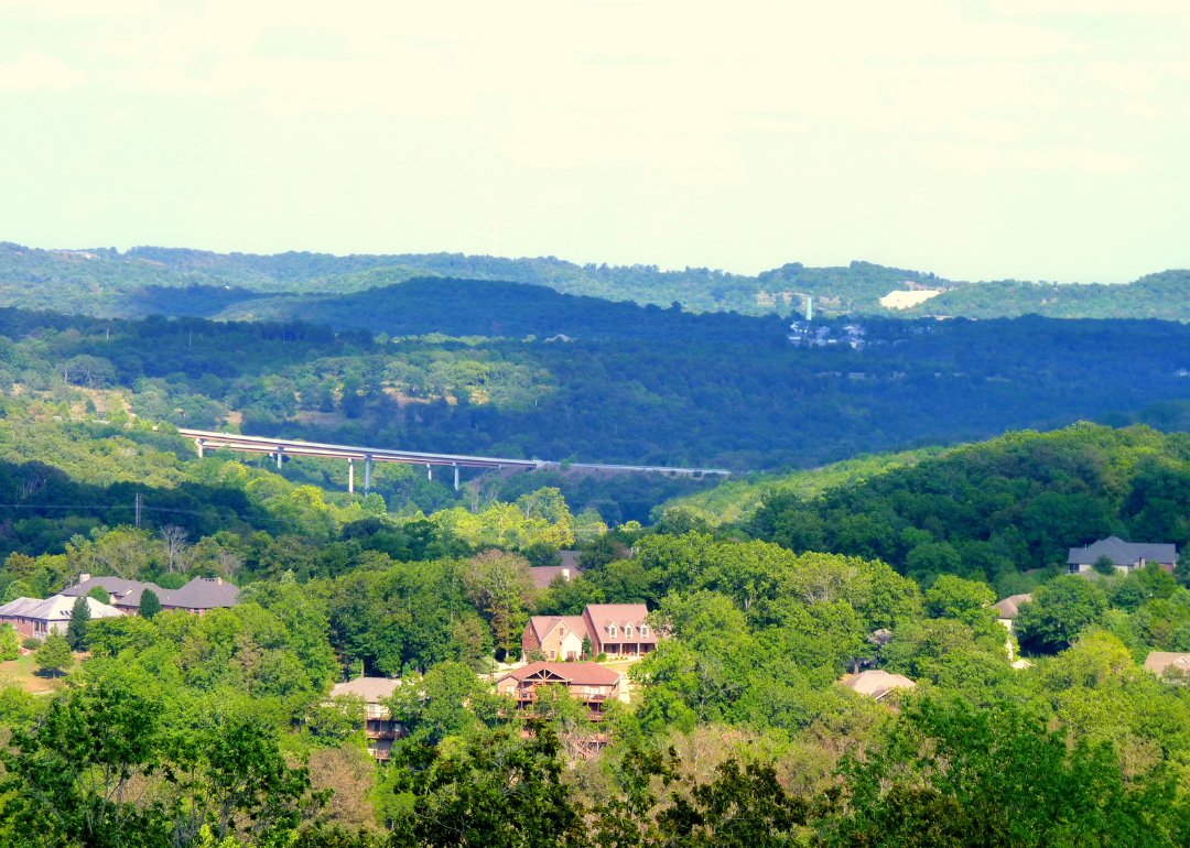 Homes nestled in the trees in Branson.