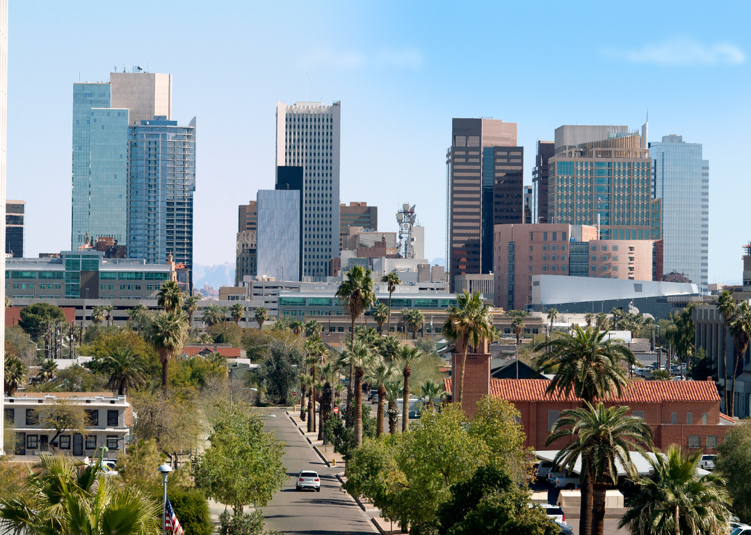 Palm tree-lined street in downtown Phoenix.