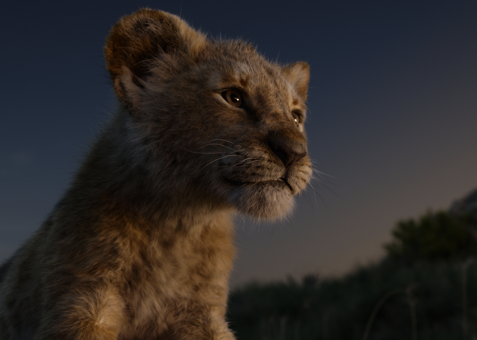 A scene with Simba as a cub at night from 