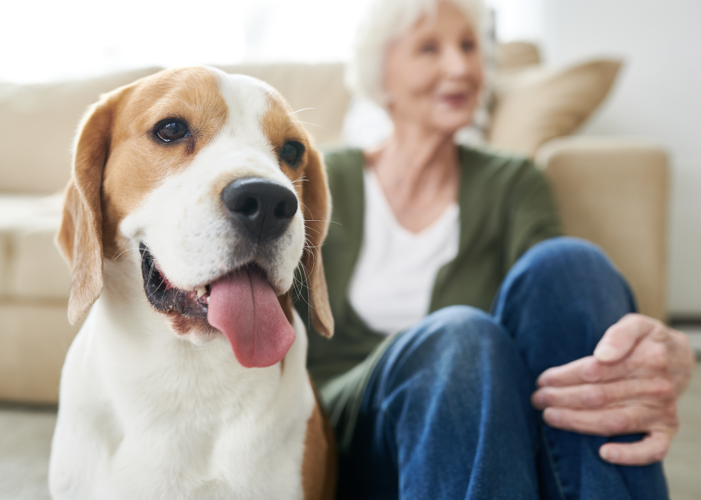Older Americans lead the nation in pet spending, but not by much