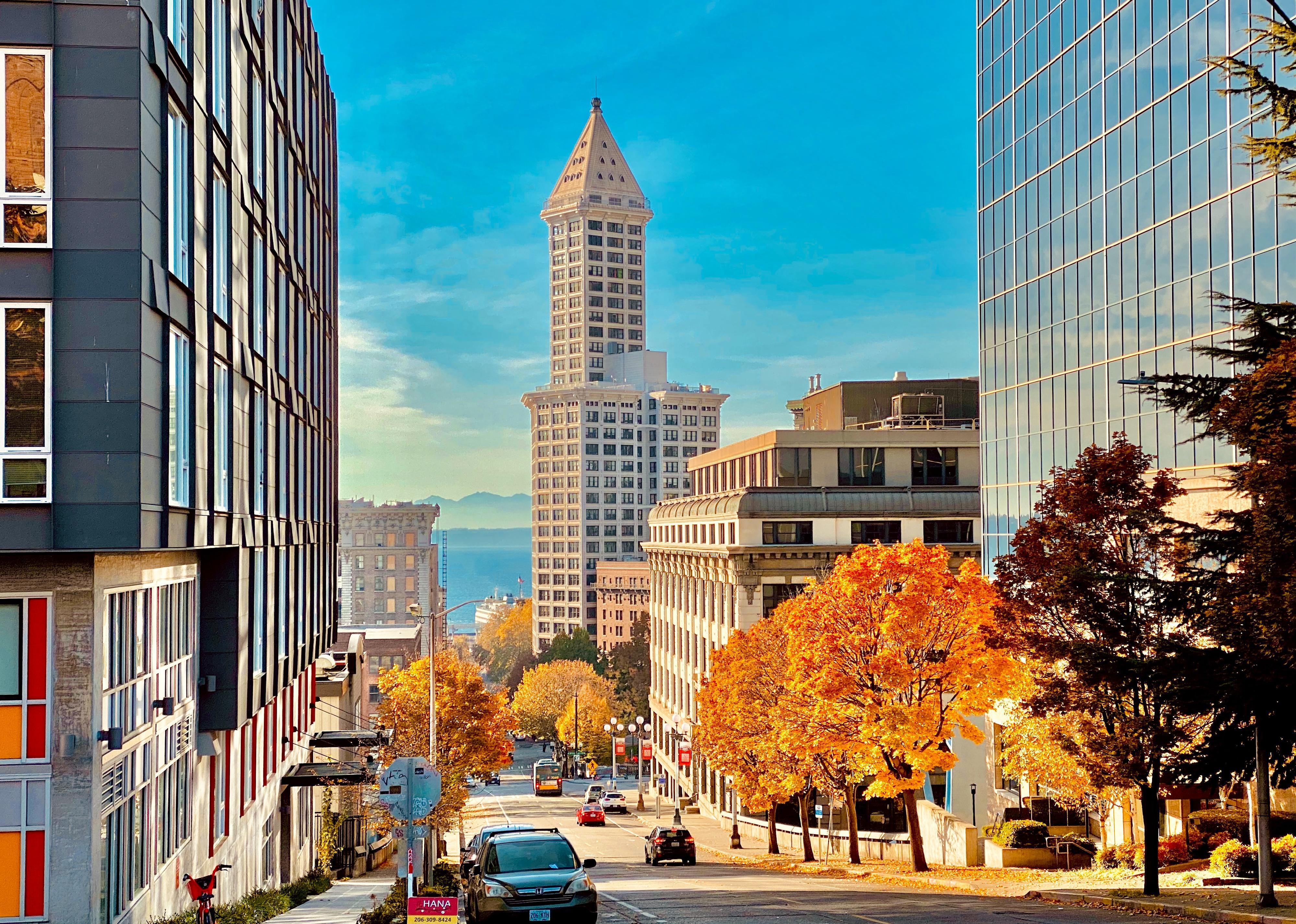 Fall sunshine bathes the Smith Tower in Seattle.