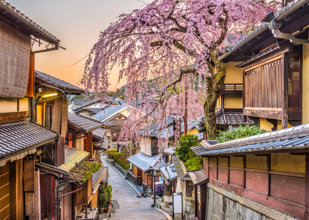 croppedUntitleddesignTKFB  