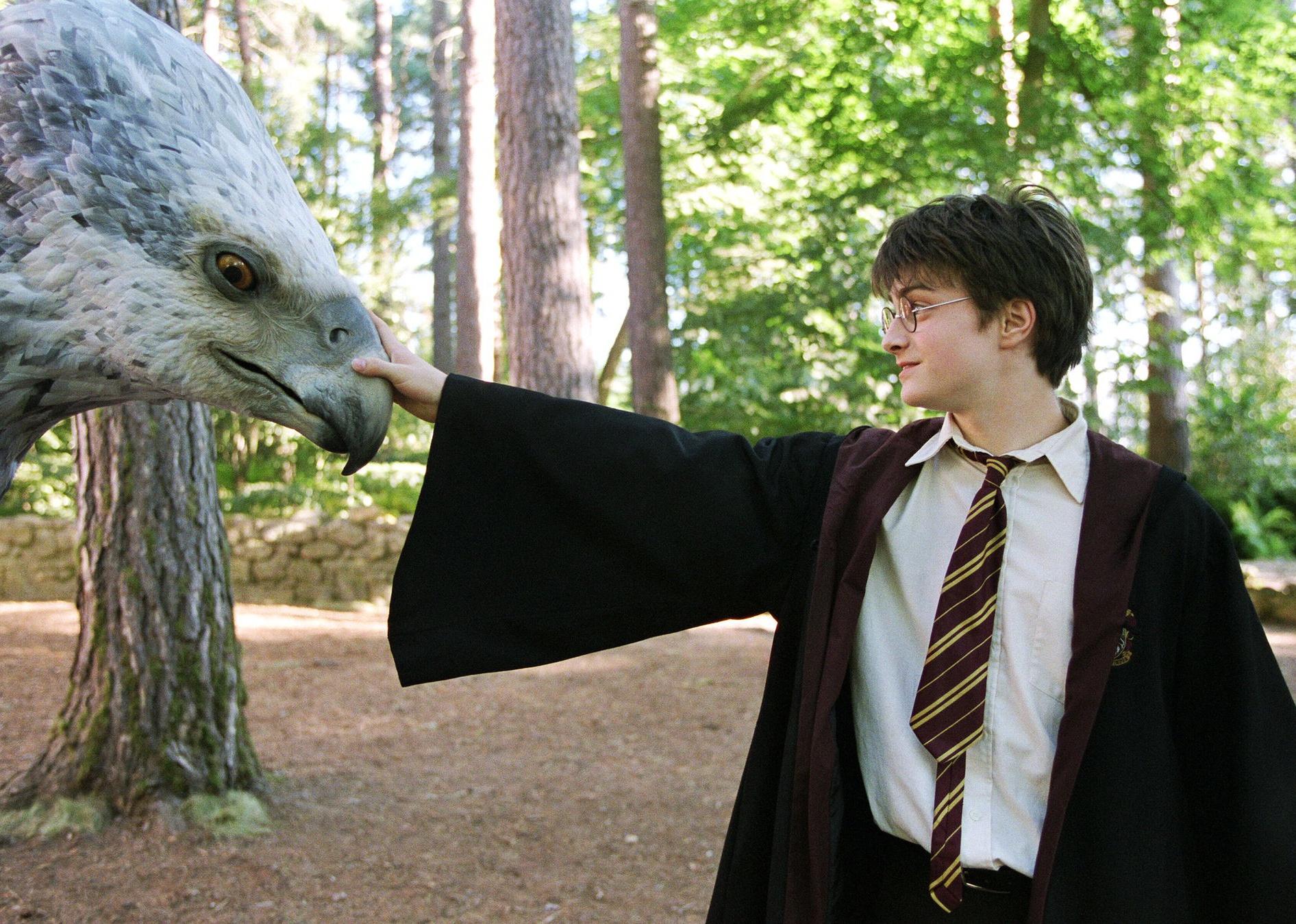 Daniel Radcliffe holding onto a giant bird's beak.