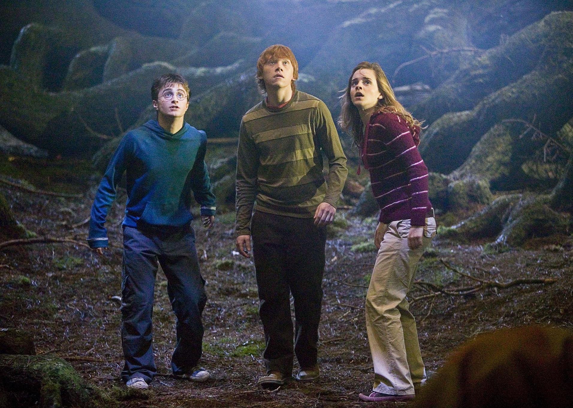 Rupert Grint, Daniel Radcliffe, and Emma Watson in a dark forest looking up at something.