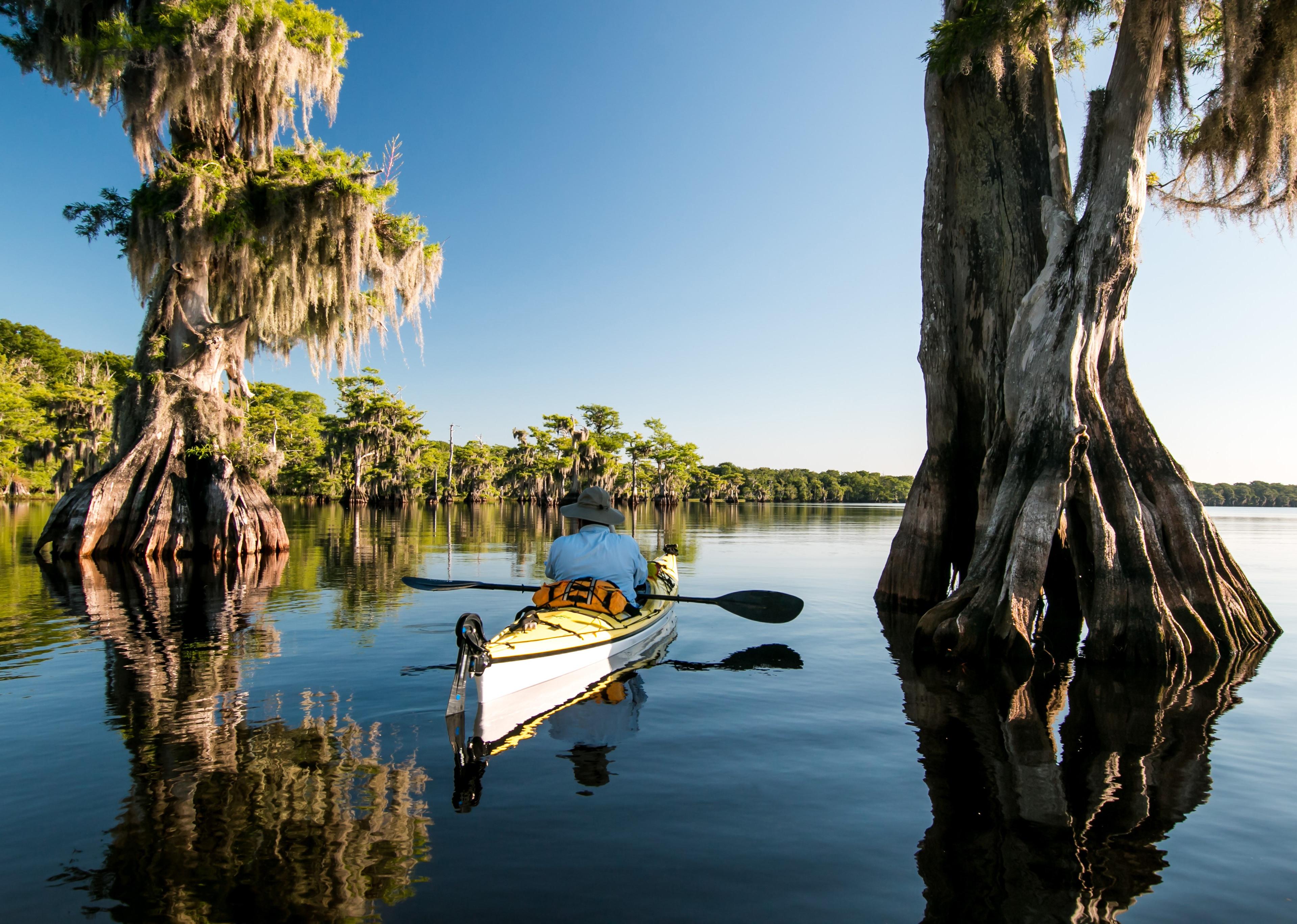 A man kayaking on Blue Cypress Lake in Florida.