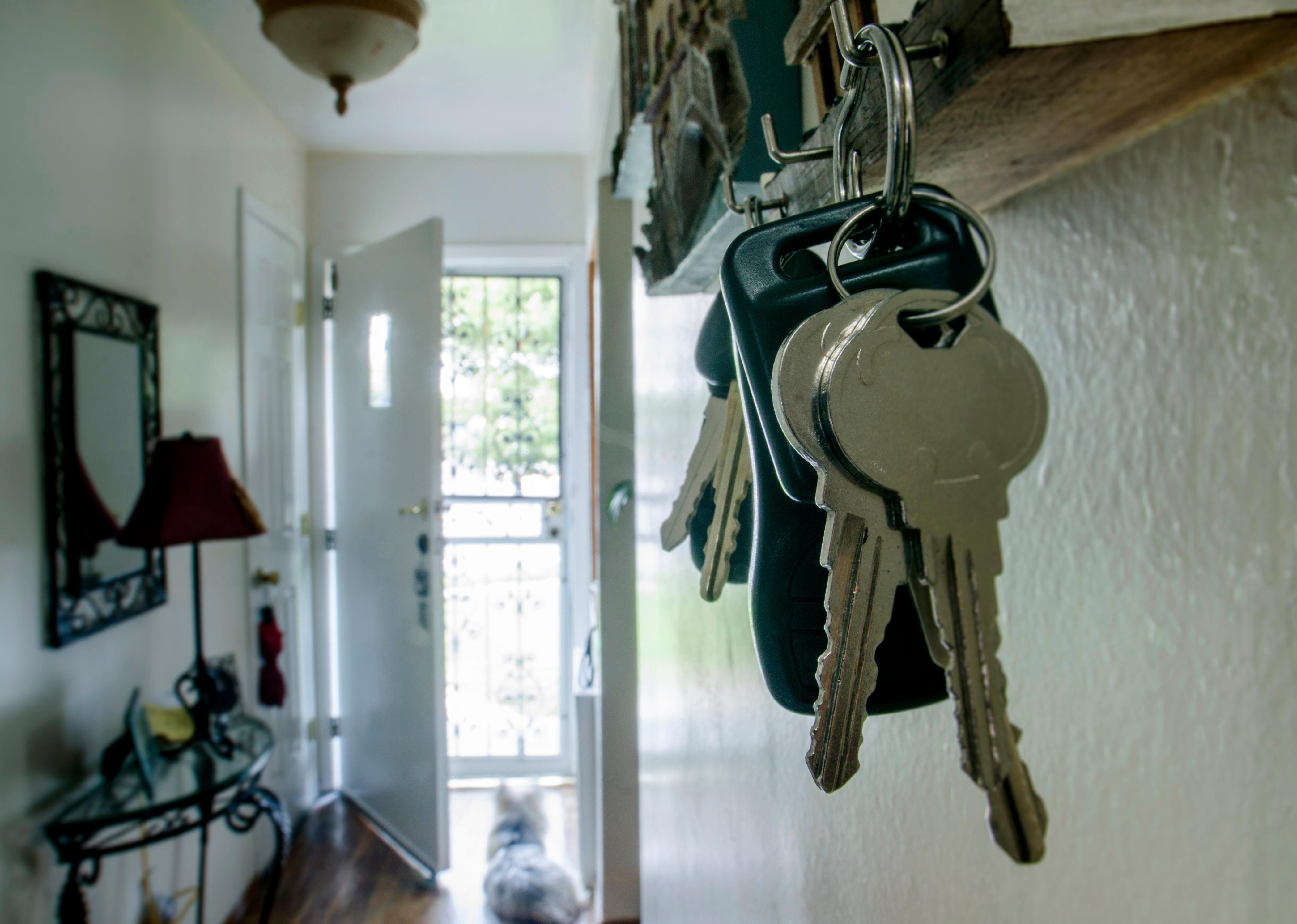 Keychain on key hook with front door in background.