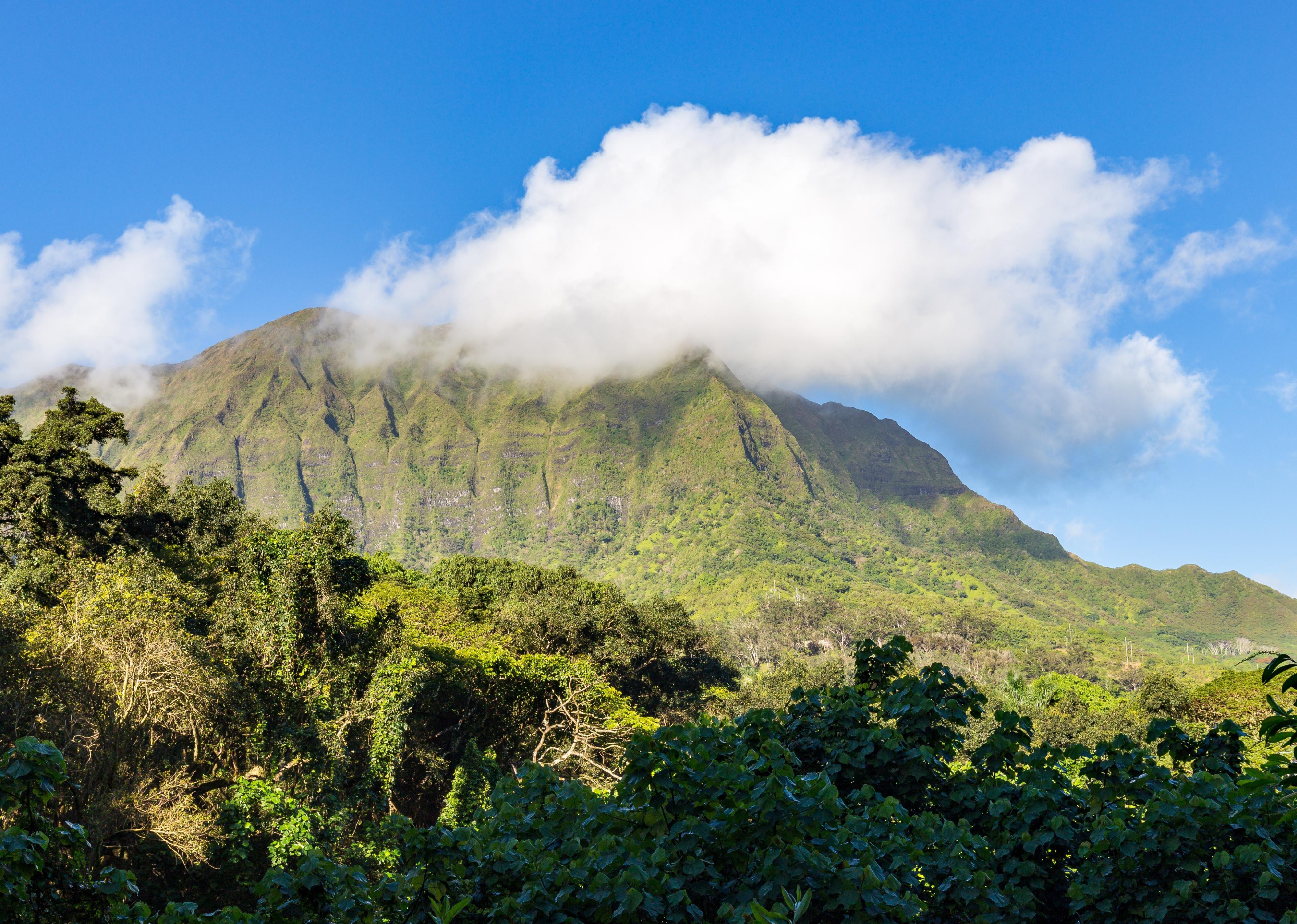 View on beautiful mountain range and Hawaiian rain forest from the Maunawili Trail.