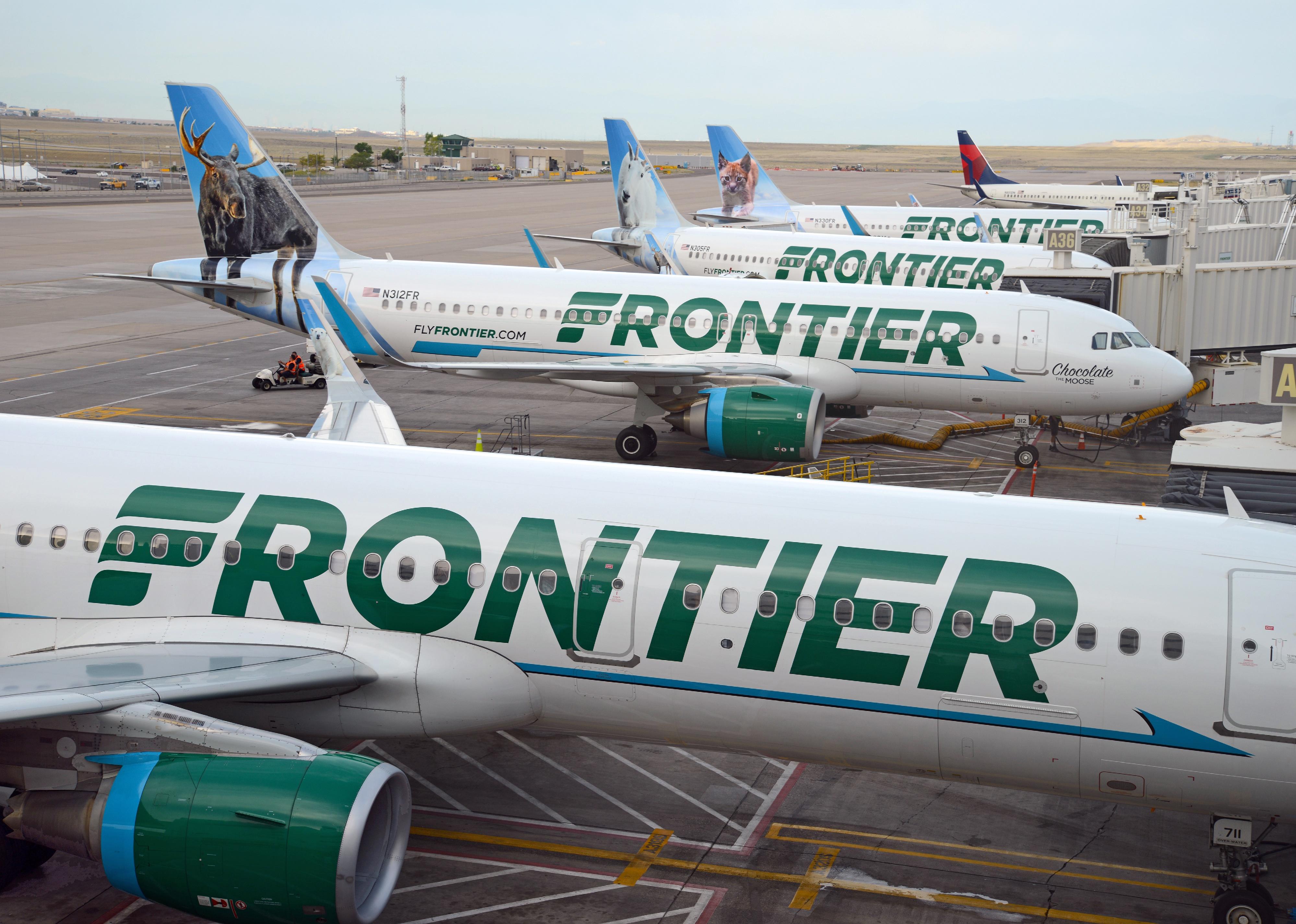 Frontier Airlines planes at gates