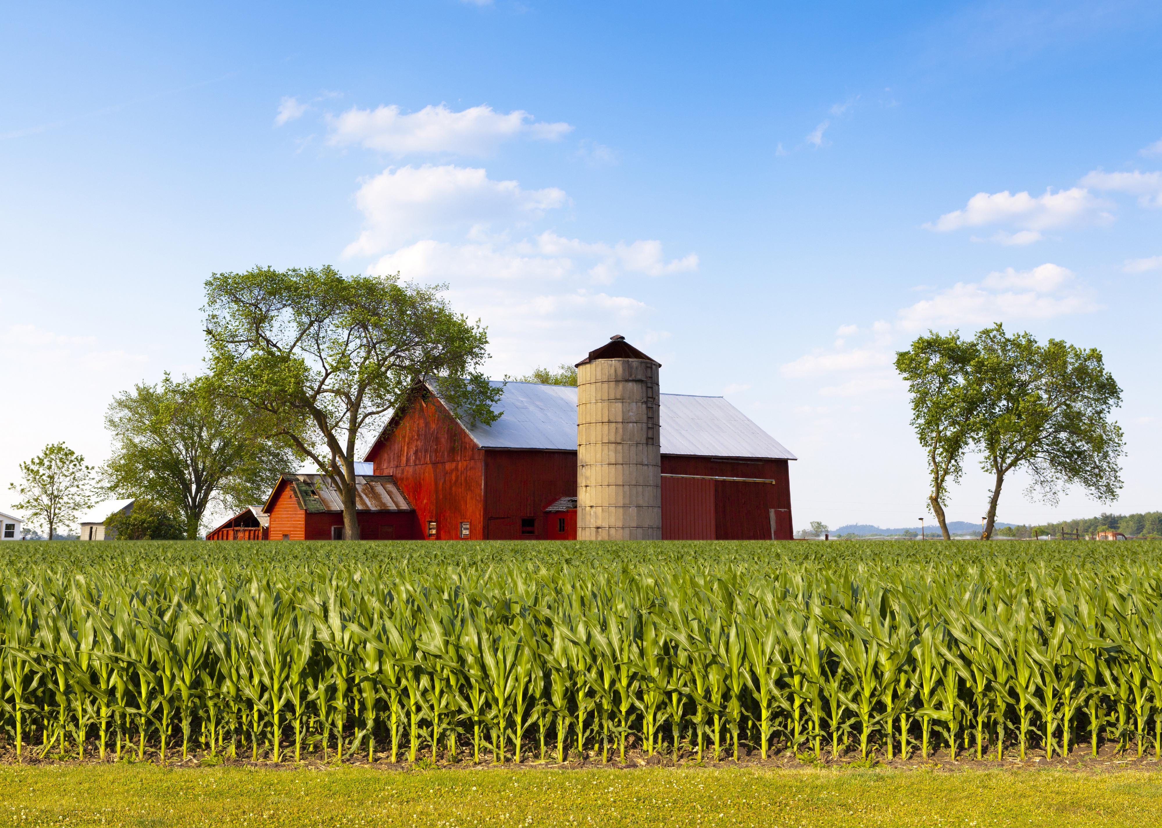 Red barn and farmland.