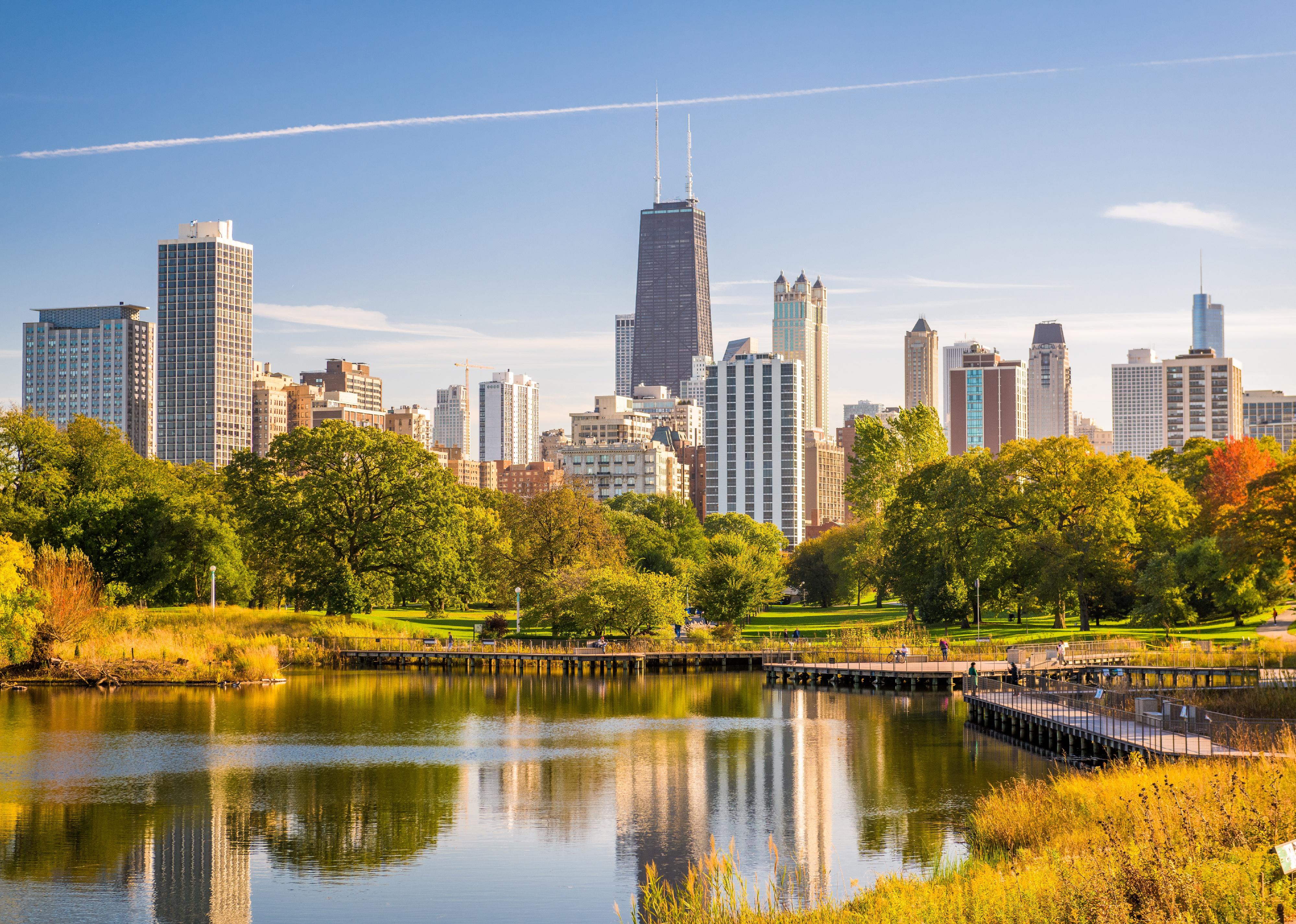 Chicago park and skyline.