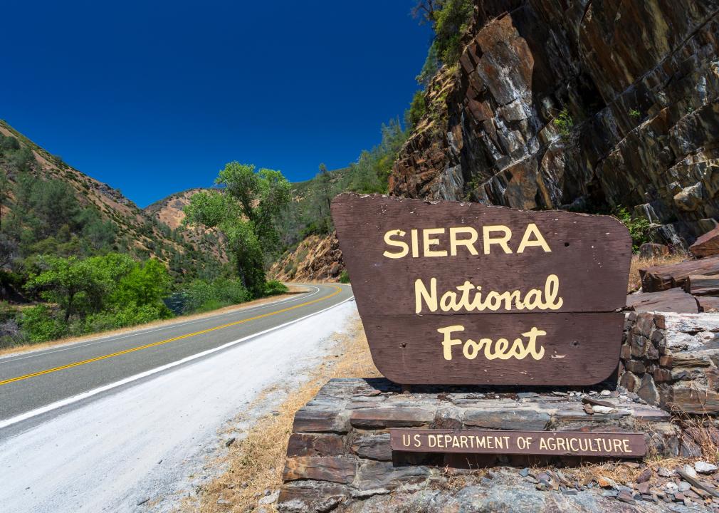 Sierra National Forest sign.