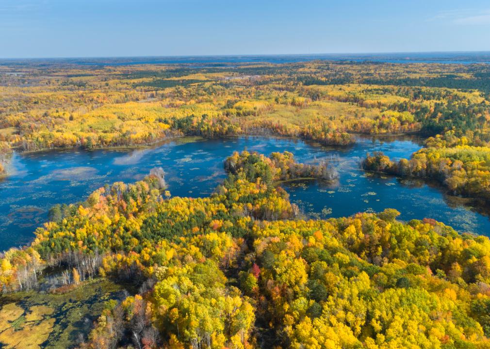 Autumn Minnesota aerial foliage and swampy lake.