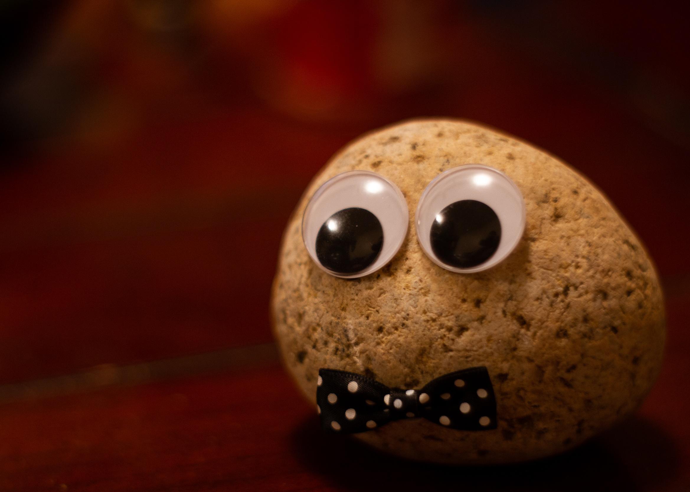 Rock decorated with googly eyes and bowtie.