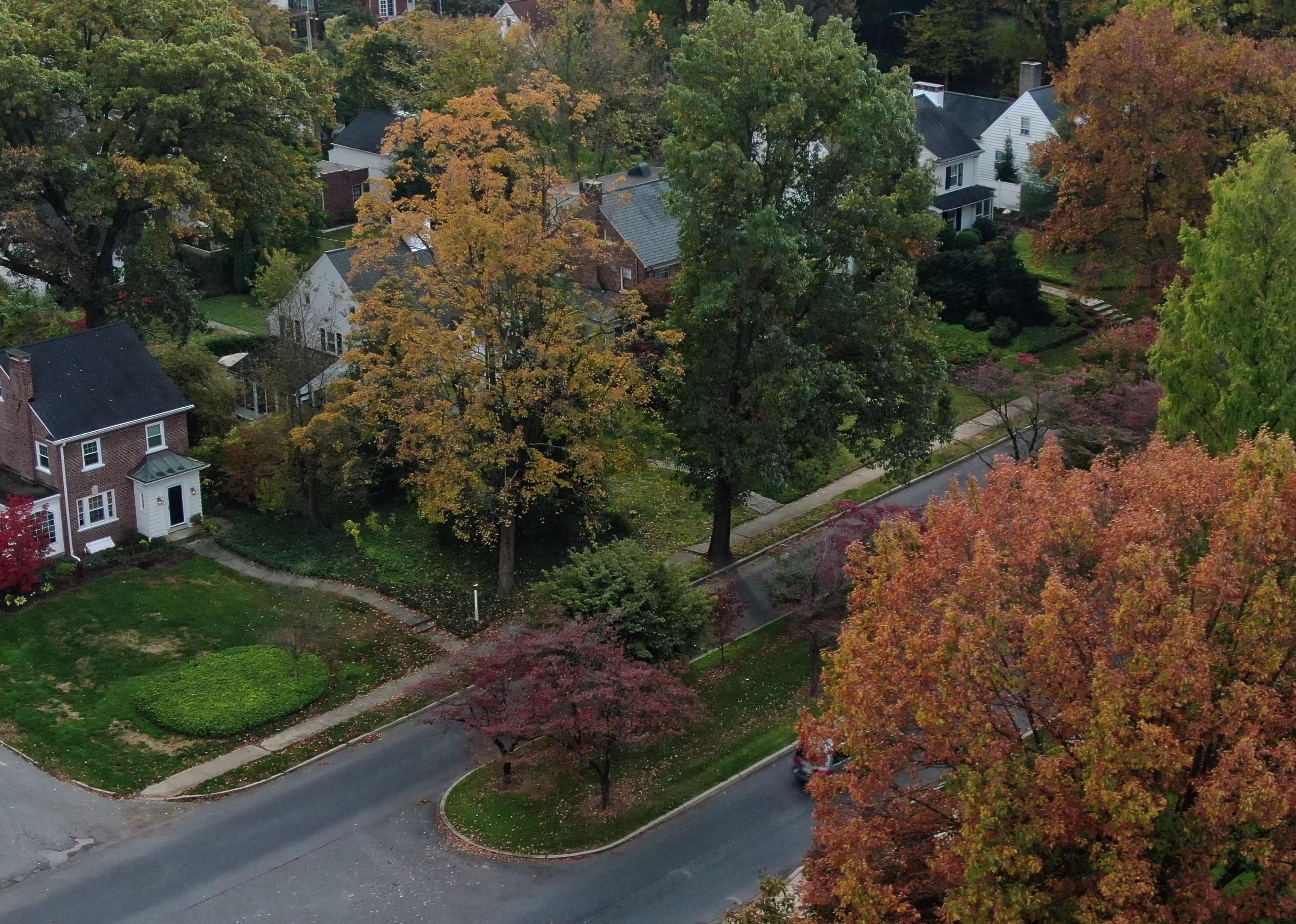 Aerial view of suburban community in autumn.