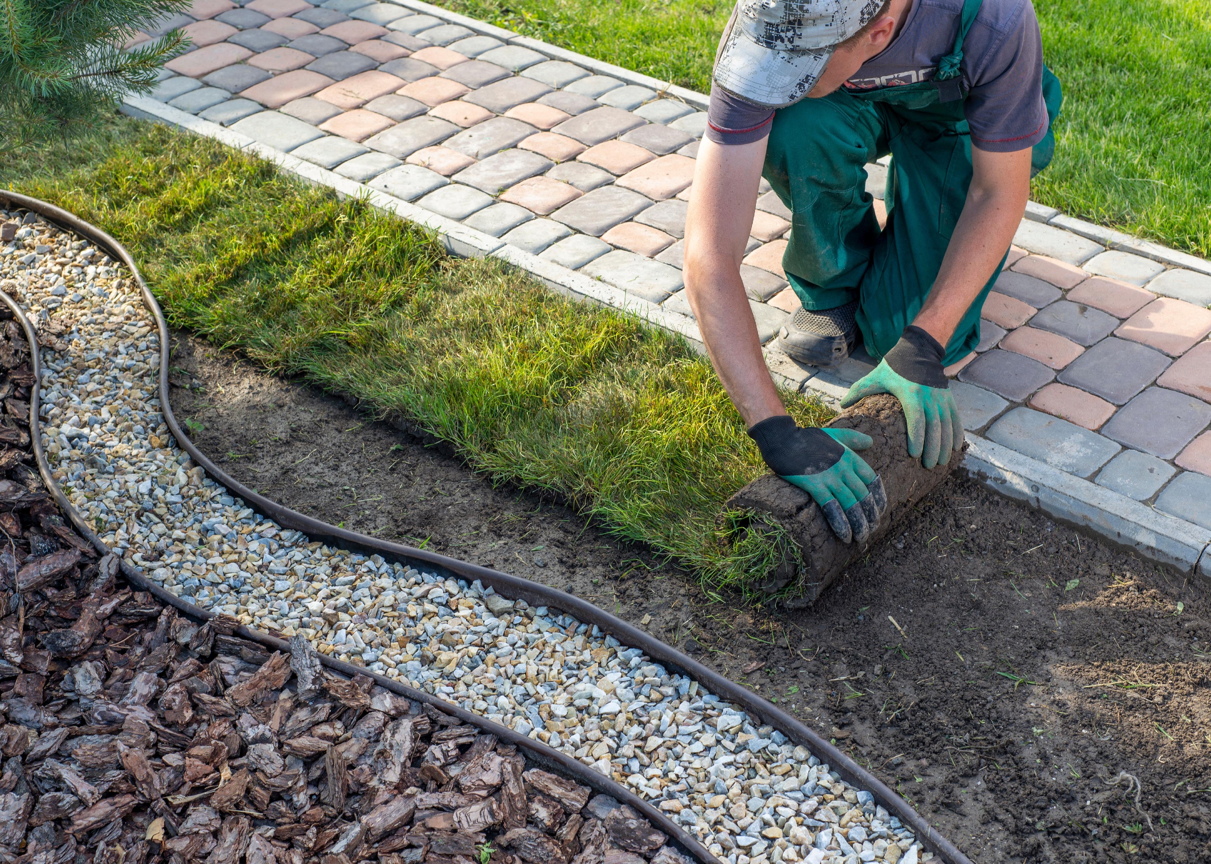 Landscaper laying turf for new lawn.