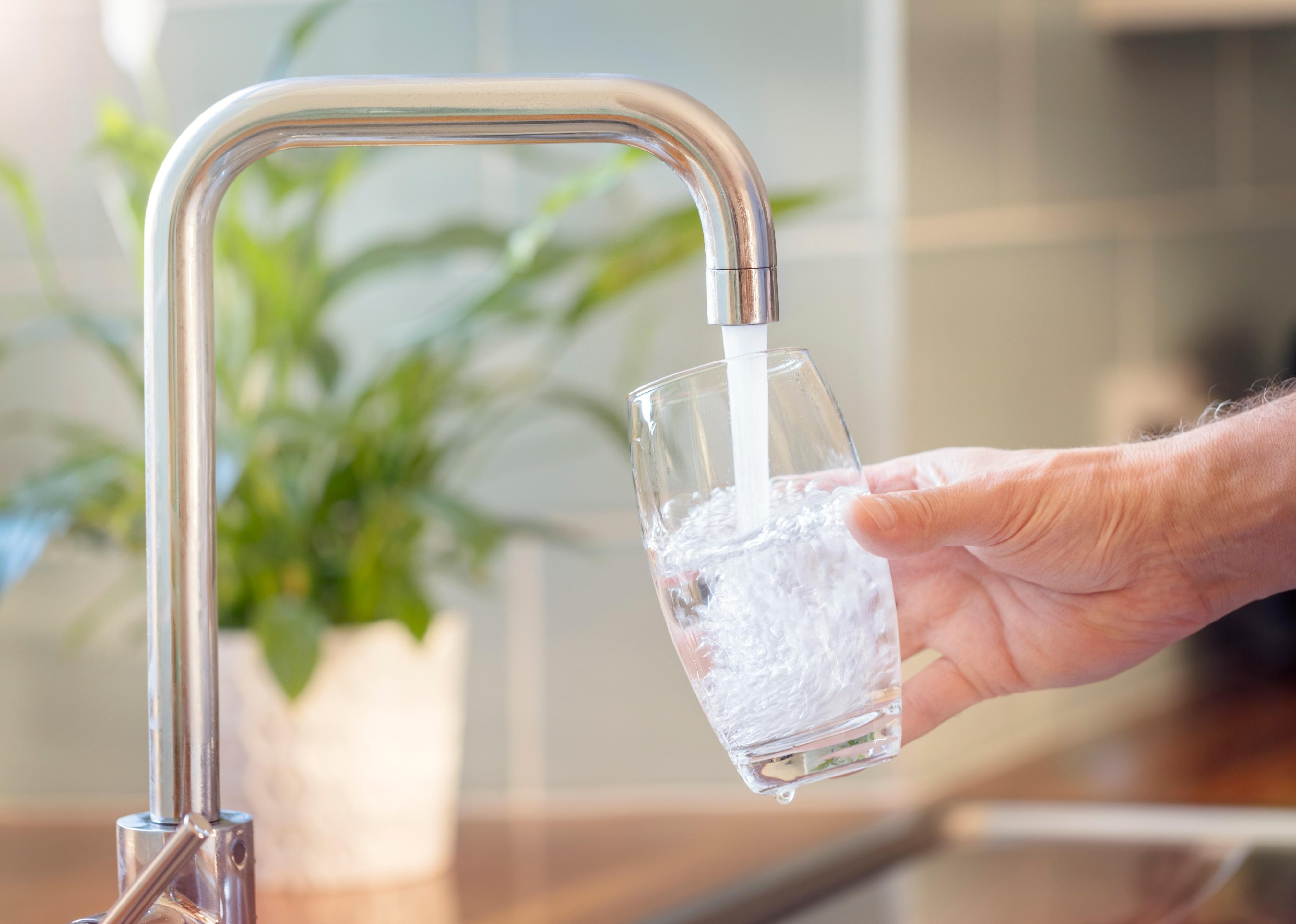 A glass being filled with water from a kitchen faucet.