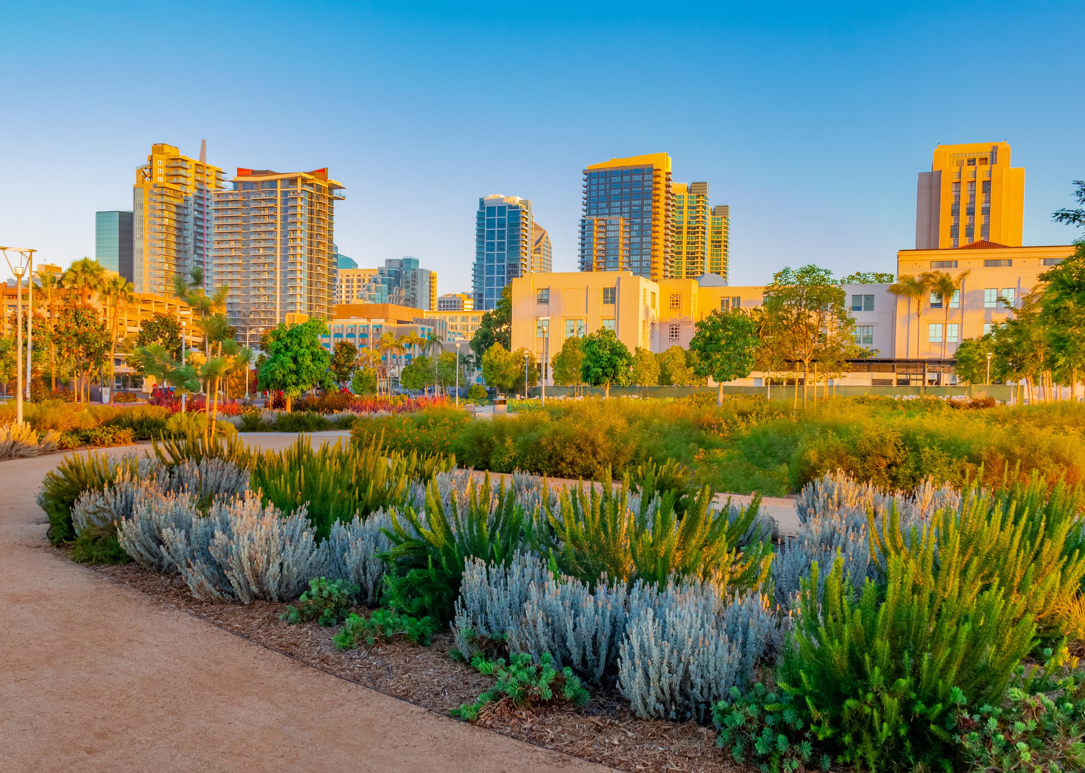 Dusk light hits the garden and skyscrapers of San Diego and the Waterfront Park.