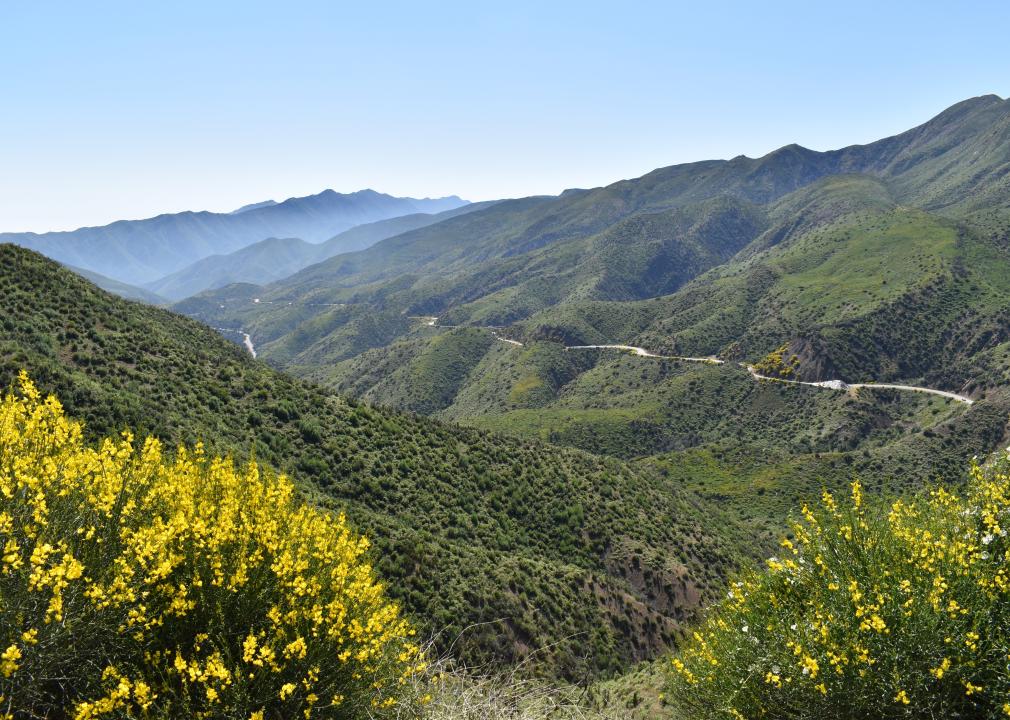 Highway 33 in Los Padres National Forest.